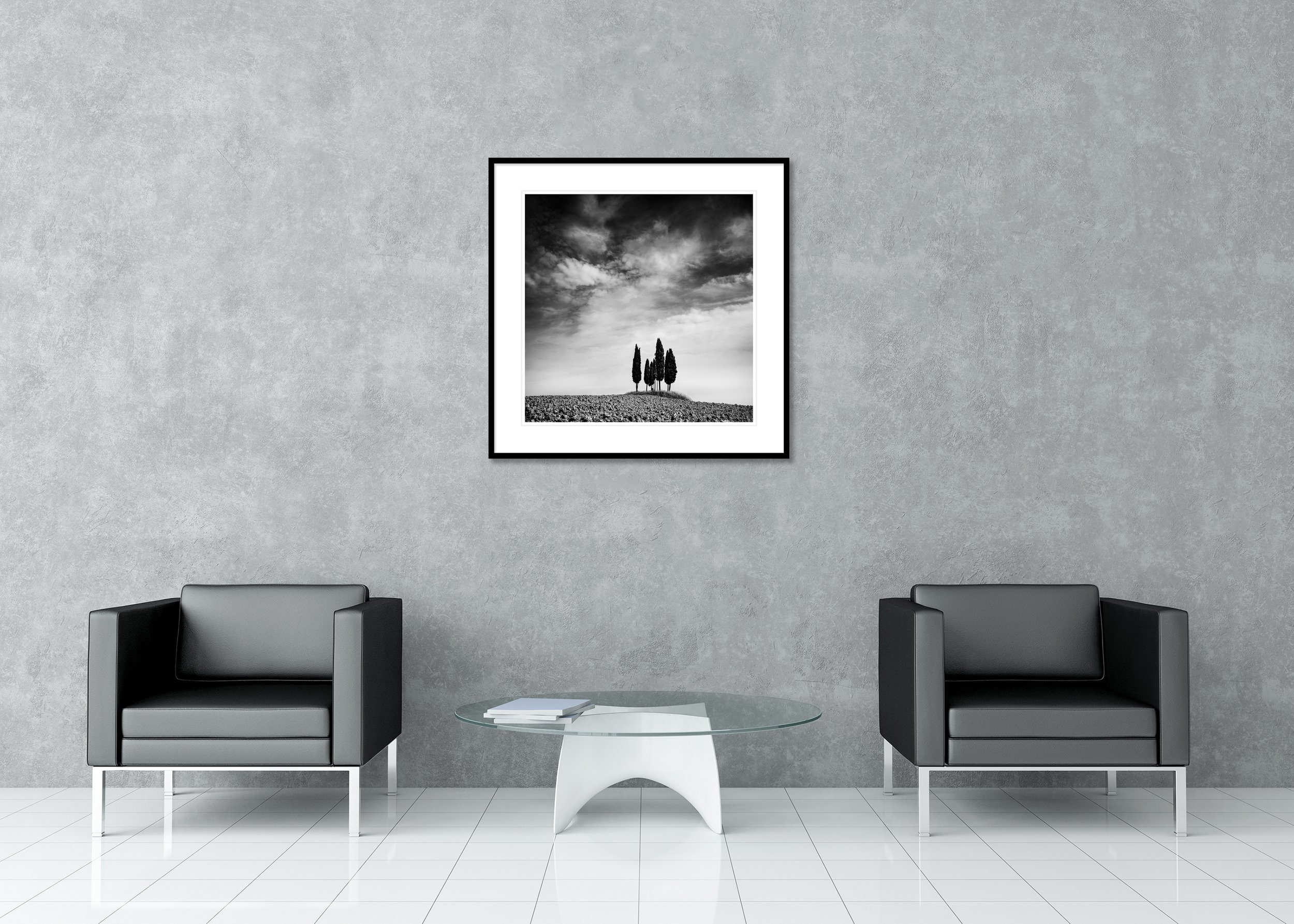 Minimalist monochrome landscape with slender trees on a hilltop below a dramatic sky, archival pigment print in a classic frame with a mount