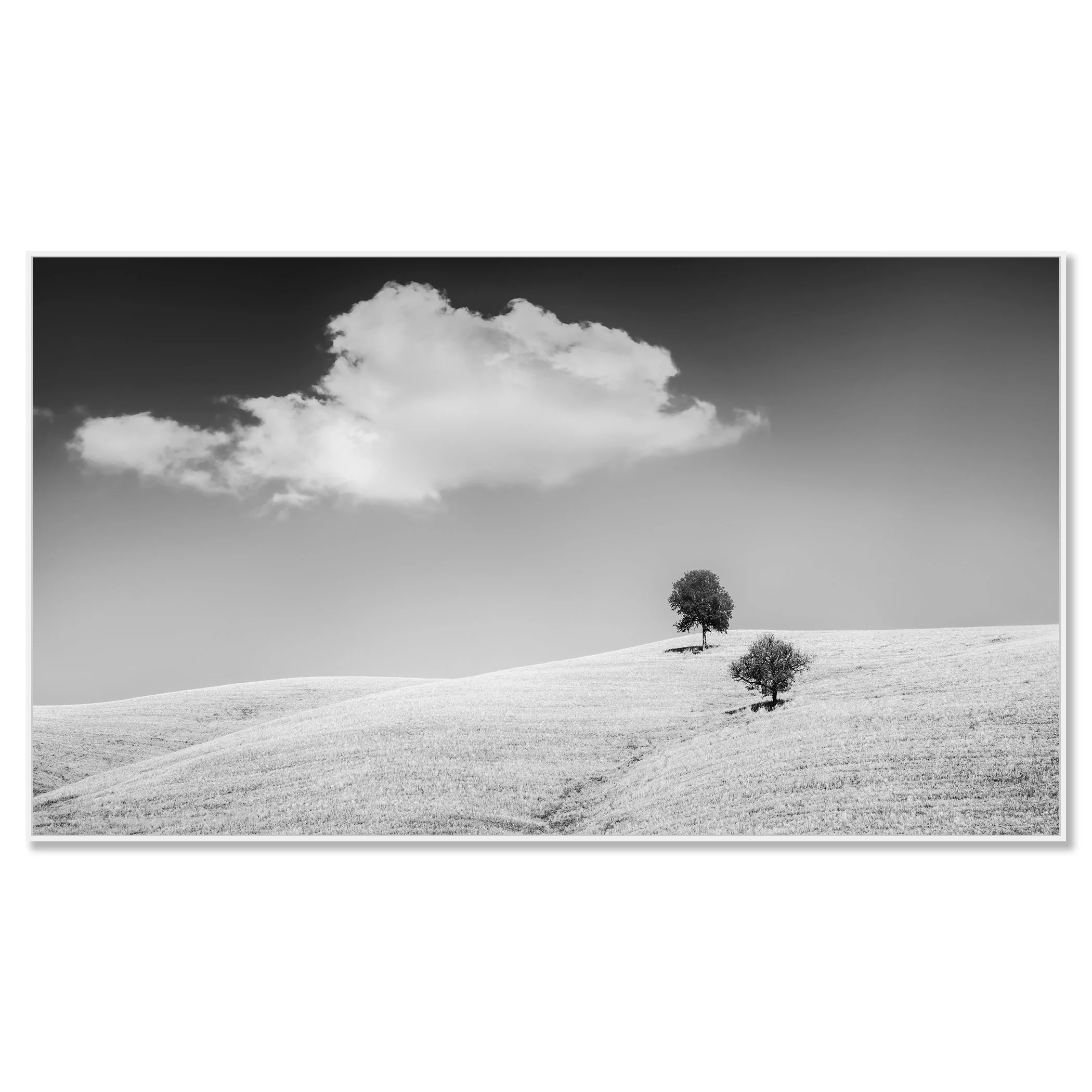Rolling Hills with Trees Study 1 – Tuscany, Italy, black-and-white photograph in a white aluminium ArtBox frame