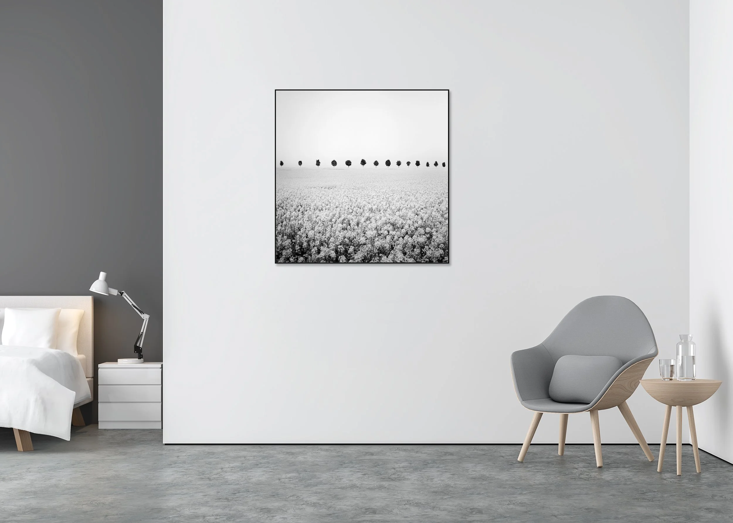 Black and white photo of a flowering field with a straight row of evenly spaced trees on the horizon, printed on ChromaLuxe metal in an aluminium ArtBox frame.