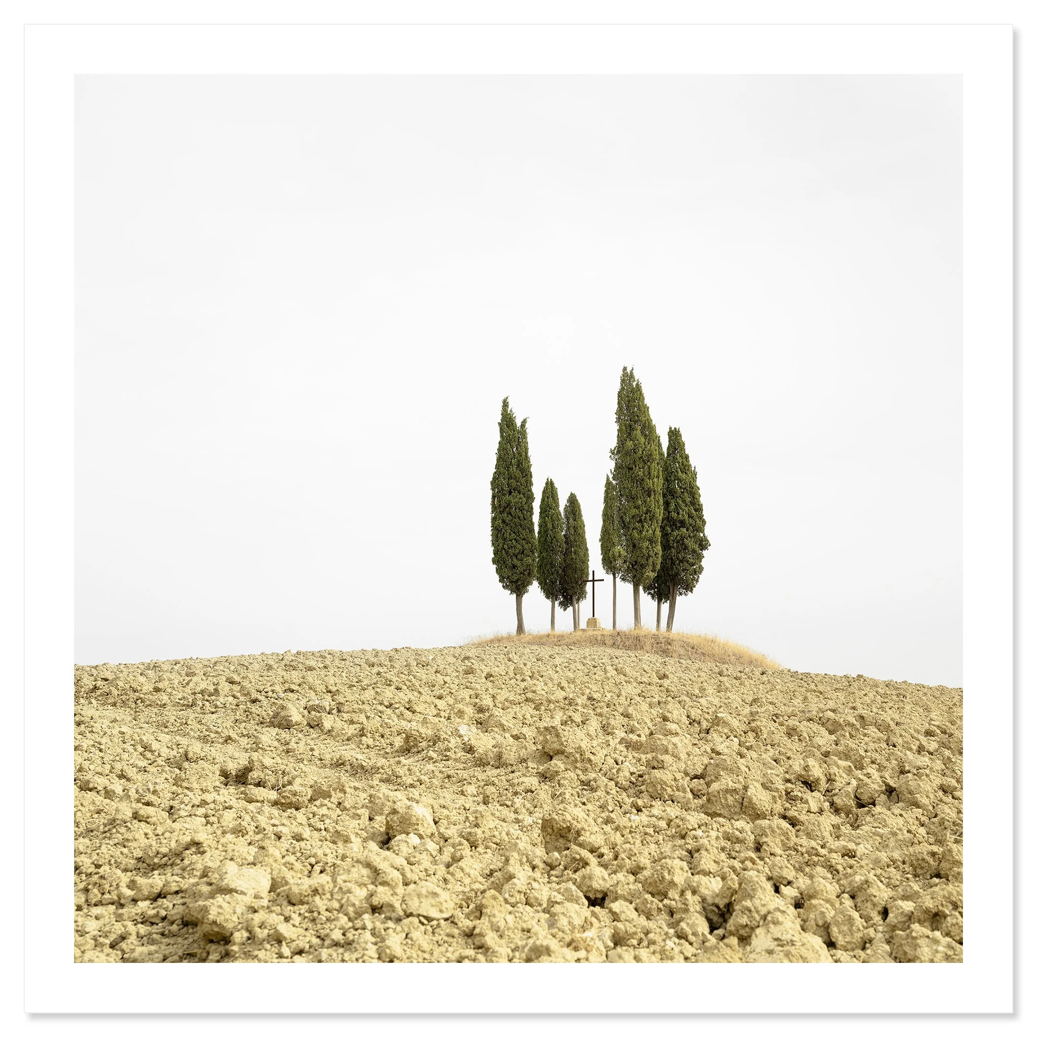 © 2024 Gerald Berghammer - Color minimalist landscape photography. A small group of tall, slender cypress trees on a dry, barren hilltop against a cloudy sky. Fine art print only
