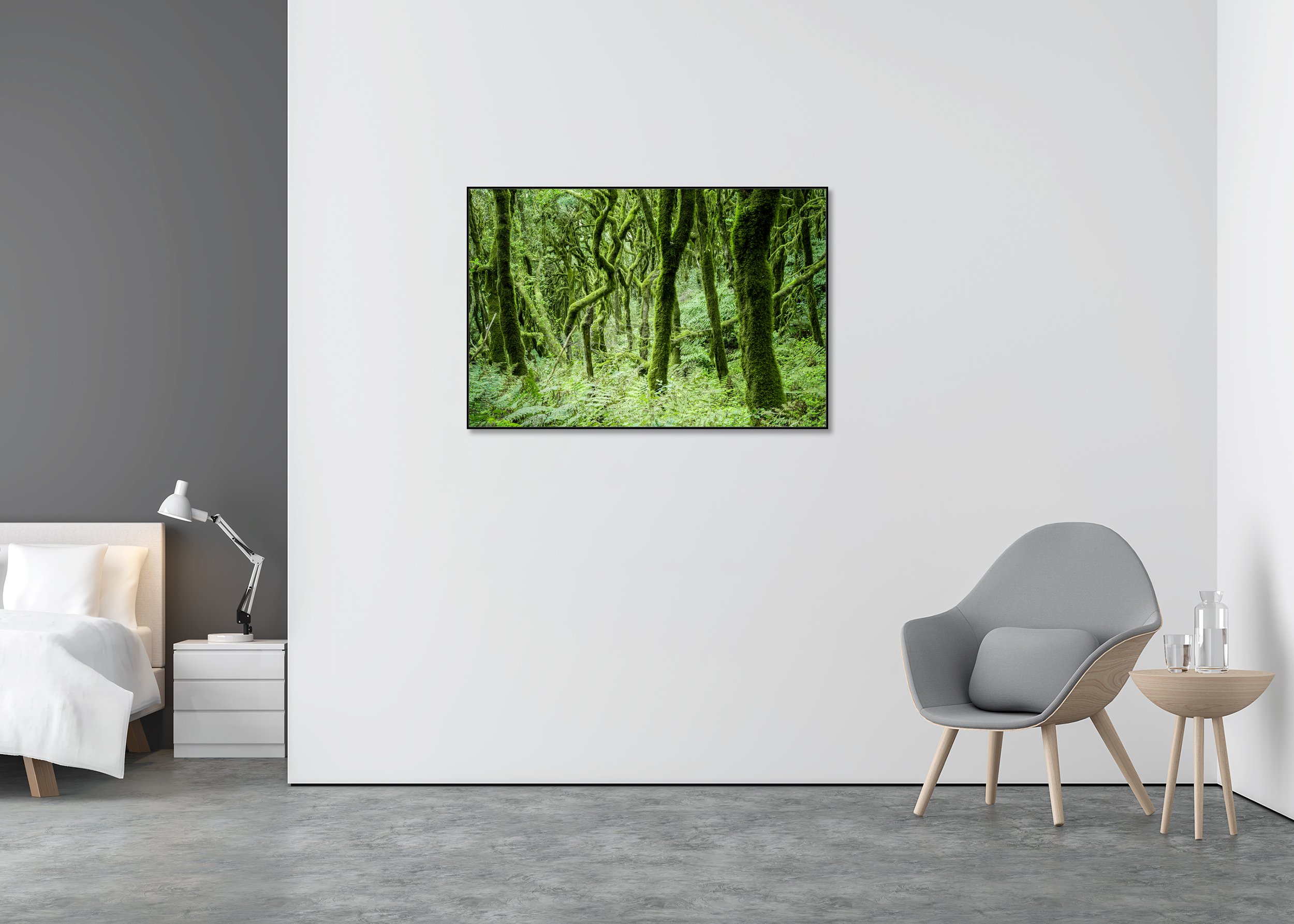 The Laurel Forest of La Gomera, Study 1 – colour photograph in a black aluminium ArtBox displayed in a minimalist bedroom. Photo by Gerald Berghammer.