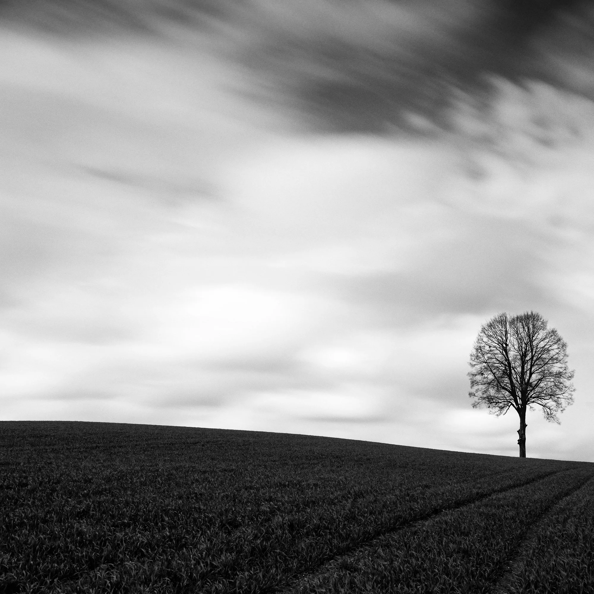 Detail of Farmland Panorama Study 1 showing the solitary tree and long-exposure sky in Austria by Gerald Berghammer.