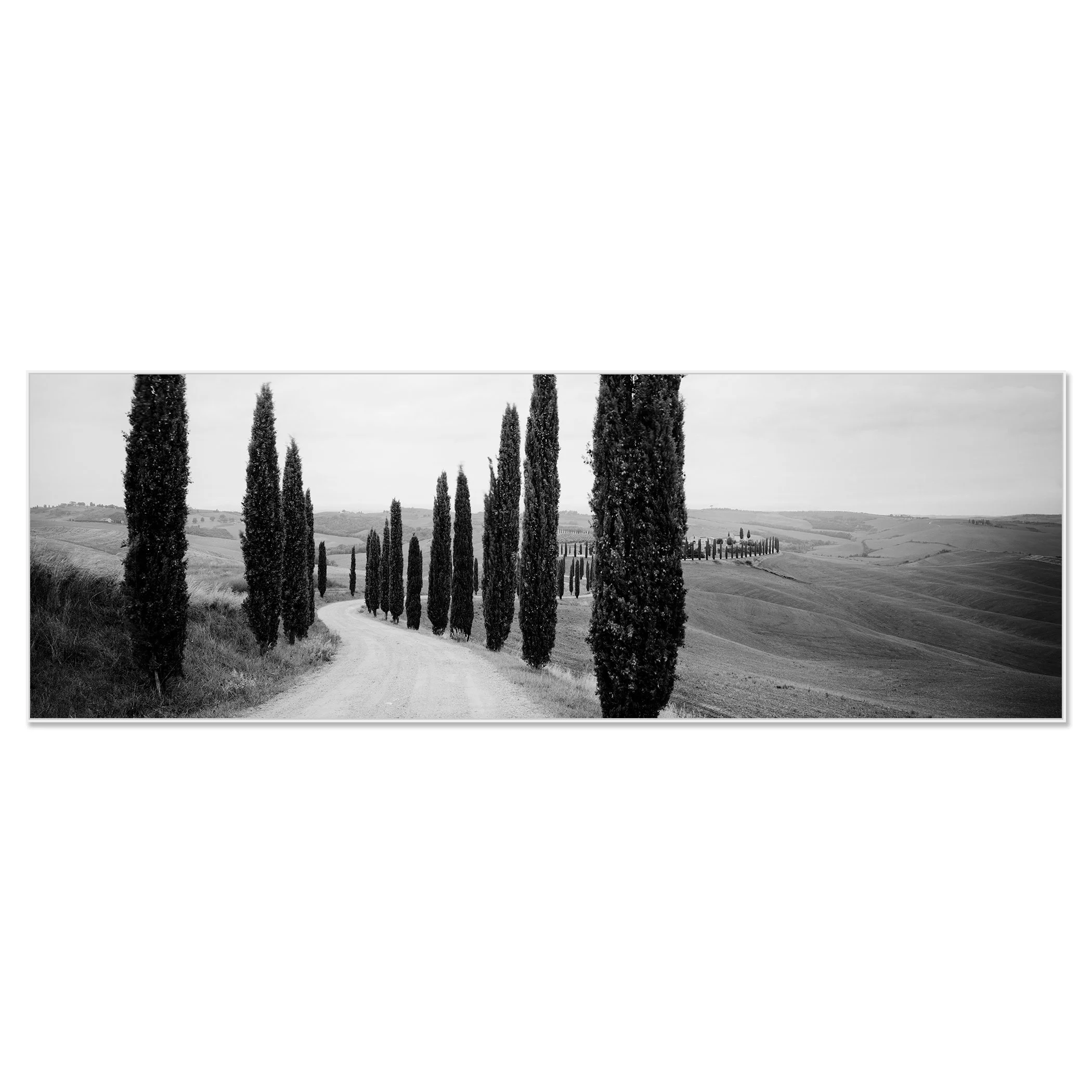 © 2020 Gerald Berghammer - Black and white photography. A winding dirt road through rolling hills lined with tall, slender cypress trees, typical of the Tuscan landscape. Chromaluxe framed white