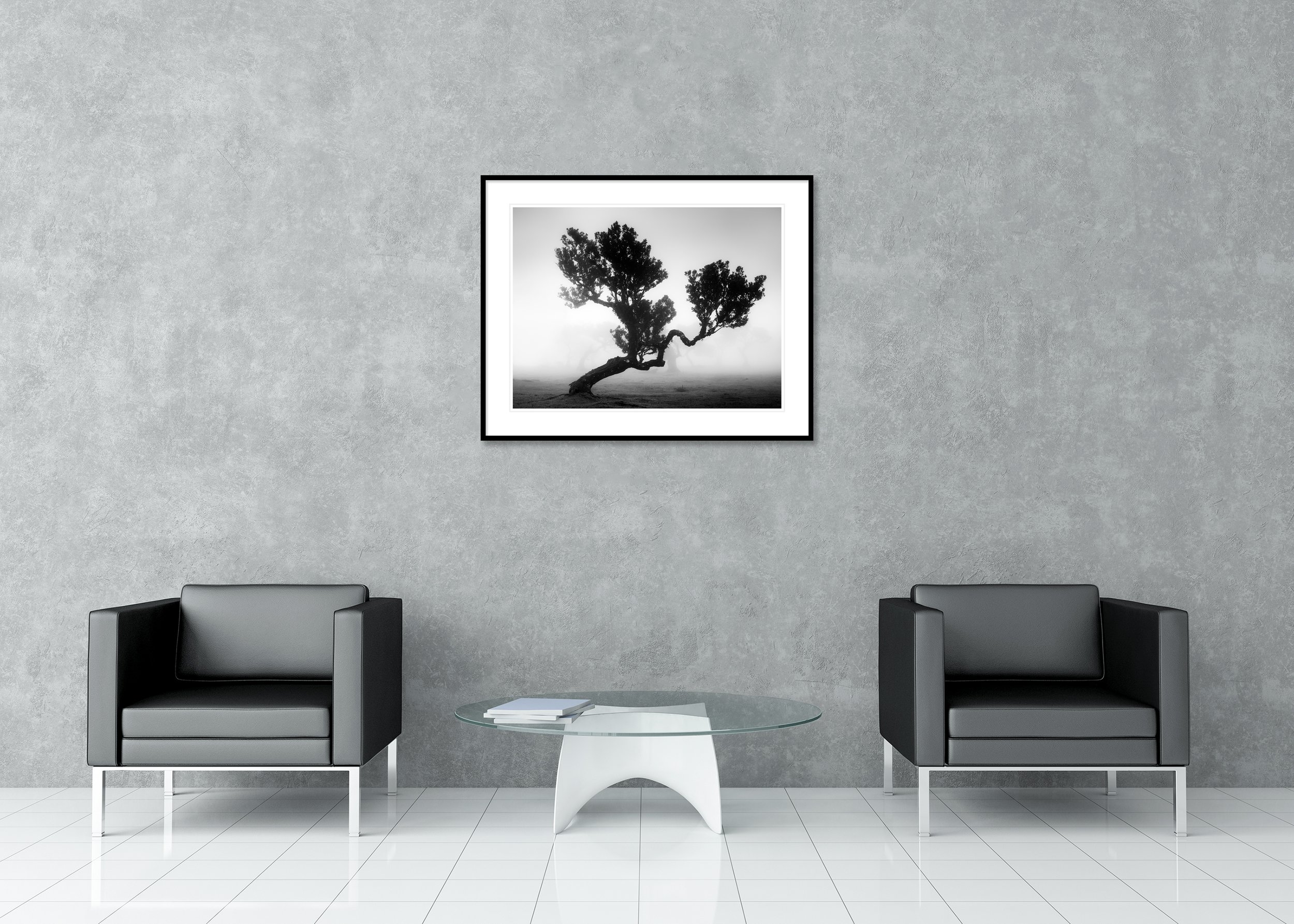 Ancient Laurisilva Forest, Study 3 by Gerald Berghammer, black-and-white fine art print in a black aluminium frame with a white mount in a contemporary lounge.