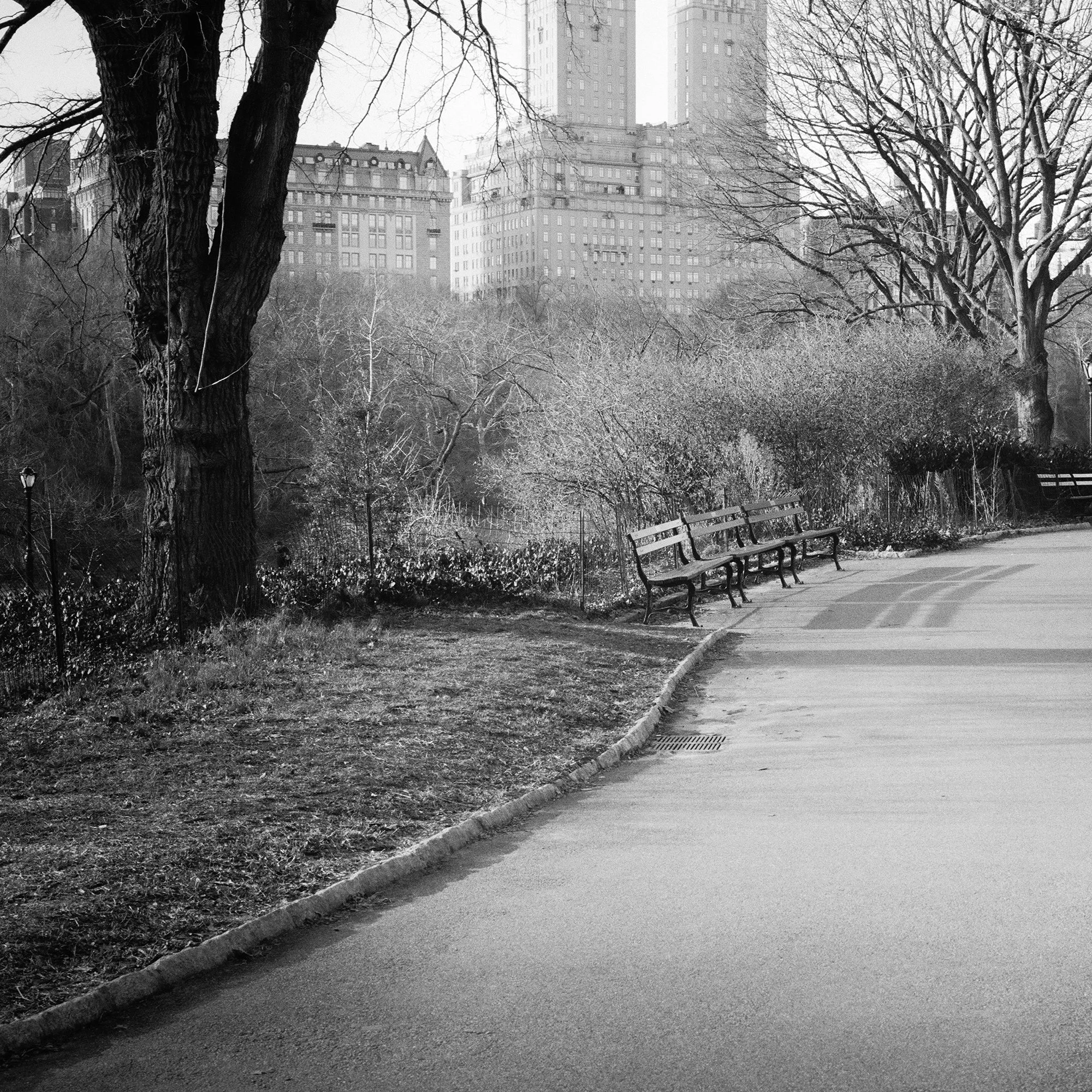 Detail of Central Park pathway and benches in The San Remo Study 2 by Gerald Berghammer, New York City.