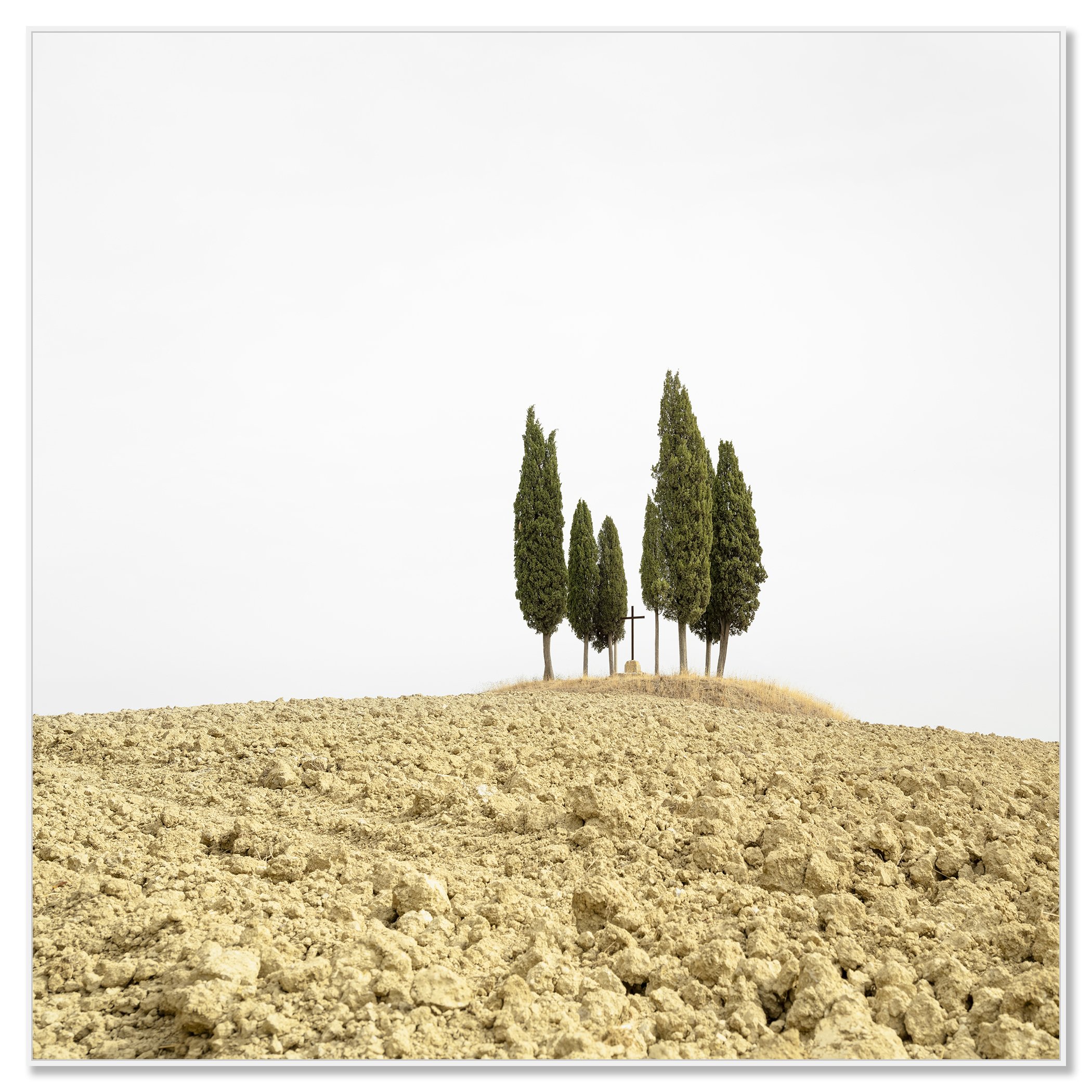 © 2024 Gerald Berghammer - Color minimalist landscape photography. A small group of tall, slender cypress trees on a dry, barren hilltop against a cloudy sky. Chromaluxe framed white