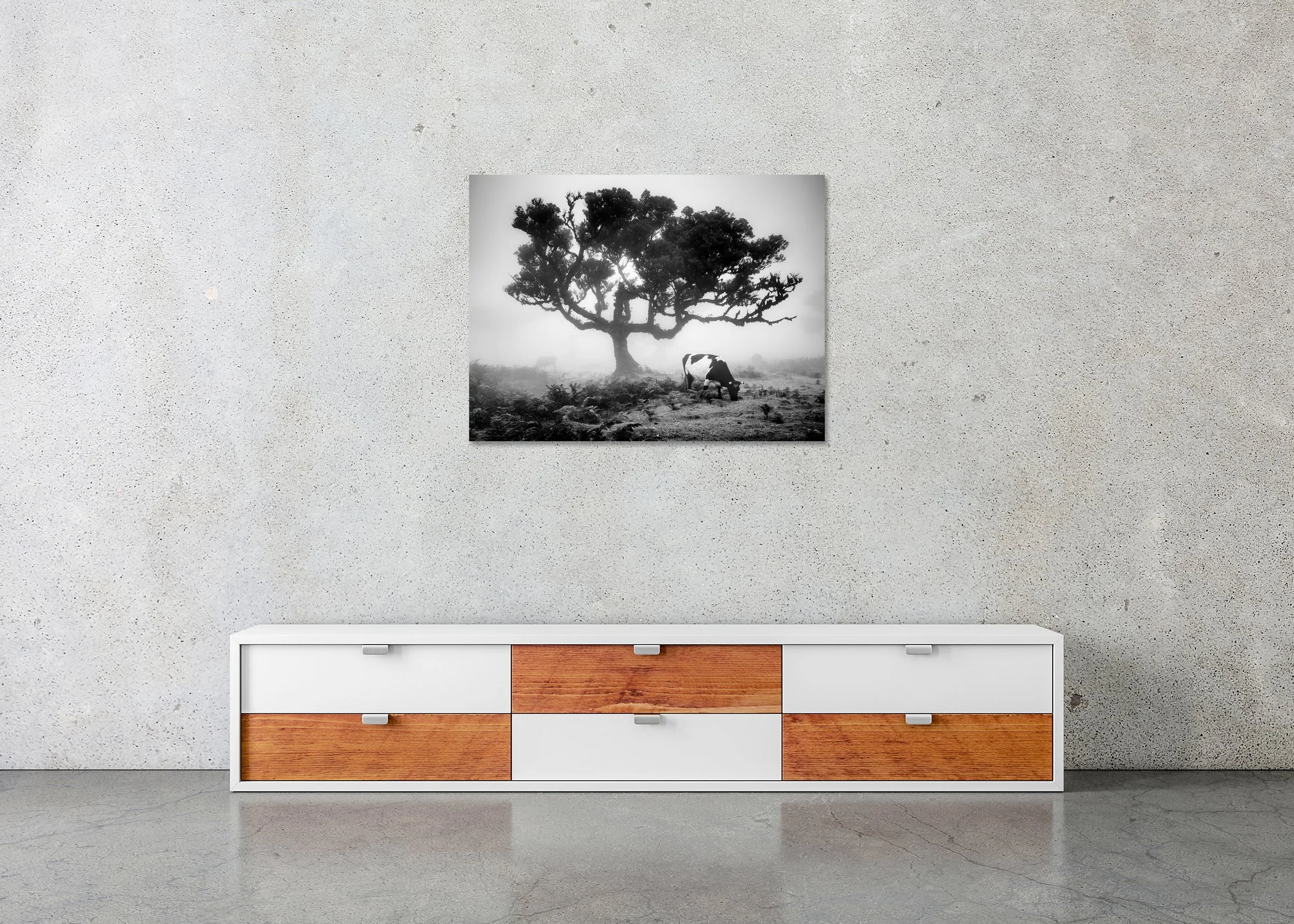 Black and white foggy field showing a spreading tree silhouette and a cow feeding on grass below — ChromaLuxe metal print, frameless.