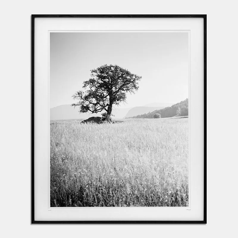 Browse exhibited artworks available from SILVERFINEART.