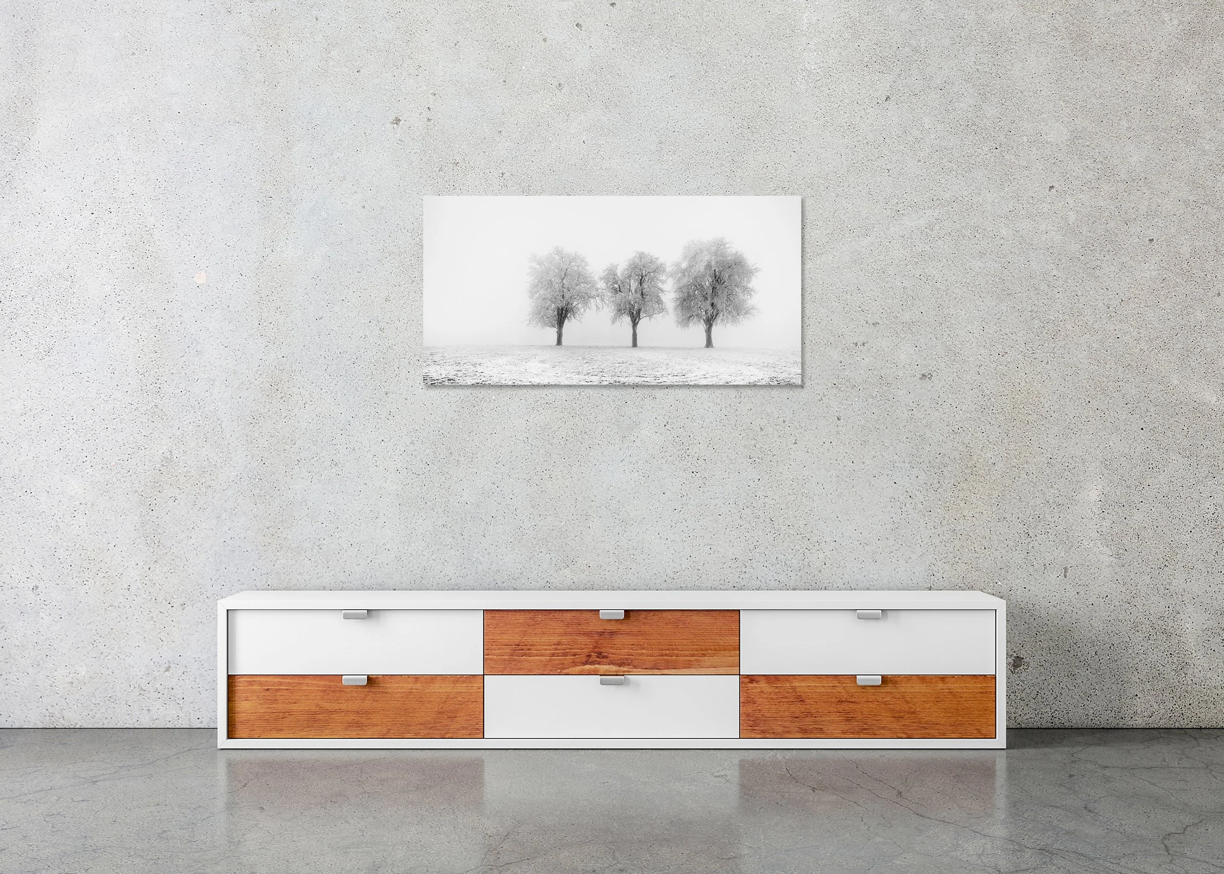 Frozen Apple Trees Panorama Study 2 displayed in a modern interior as a frameless black-and-white aluminium Dibond print by Gerald Berghammer.