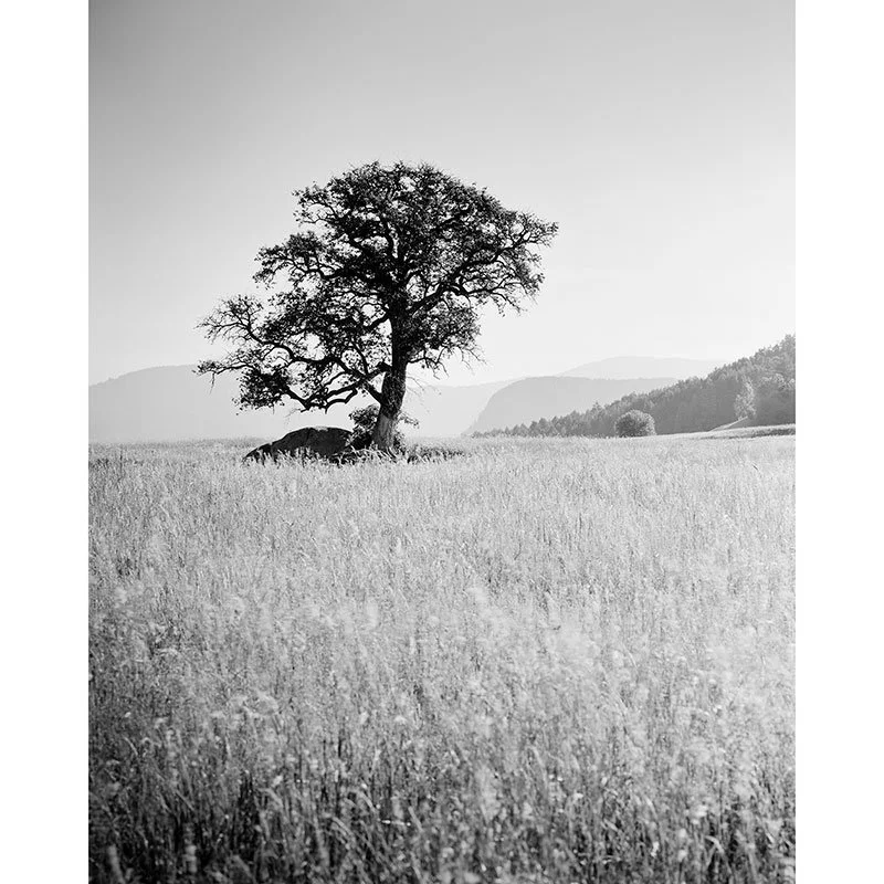 Morning Sun – Seiser Alm, Italy | Gerald Berghammer