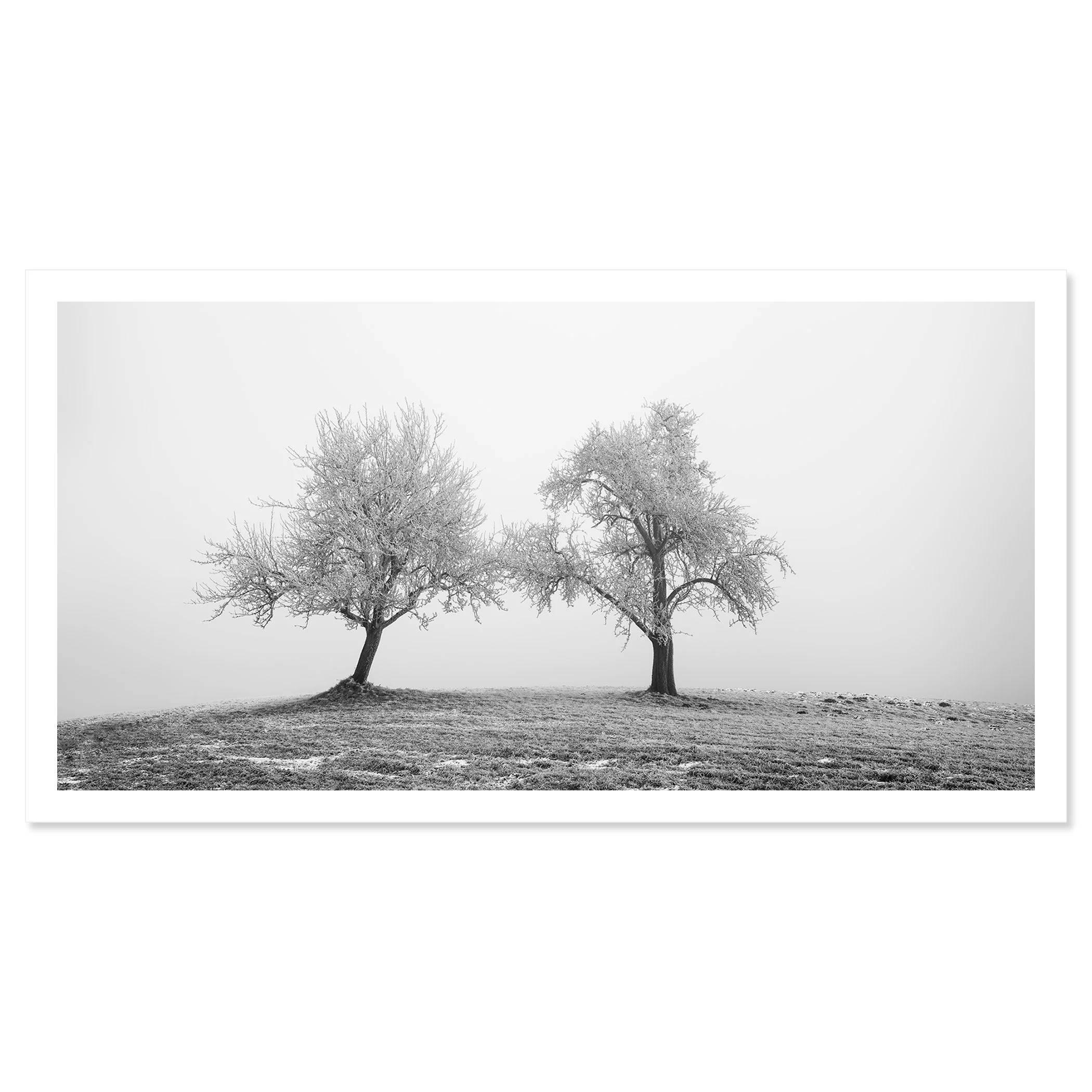 Two Lonely Frozen Trees Panorama by Gerald Berghammer, black-and-white winter landscape shown as an archival pigment fine art print.