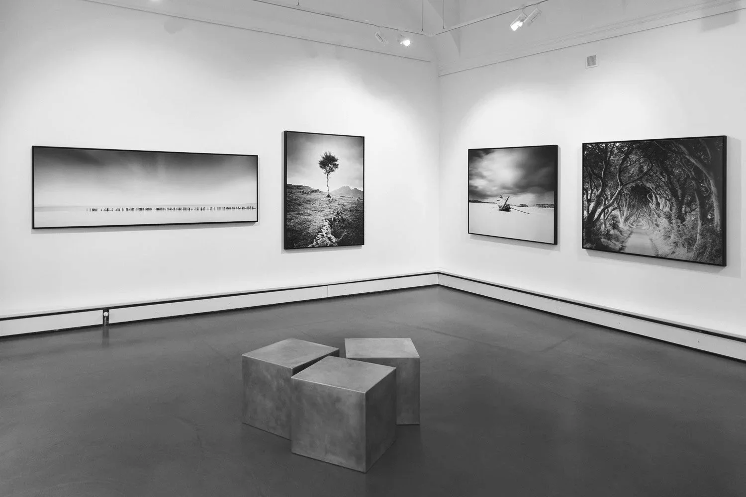 Wide gallery view of THE SELECTION at Bildraum 01 in Vienna, featuring four large black-and-white landscape photographs by Gerald Berghammer, including a solitary tree and tree-lined avenue.