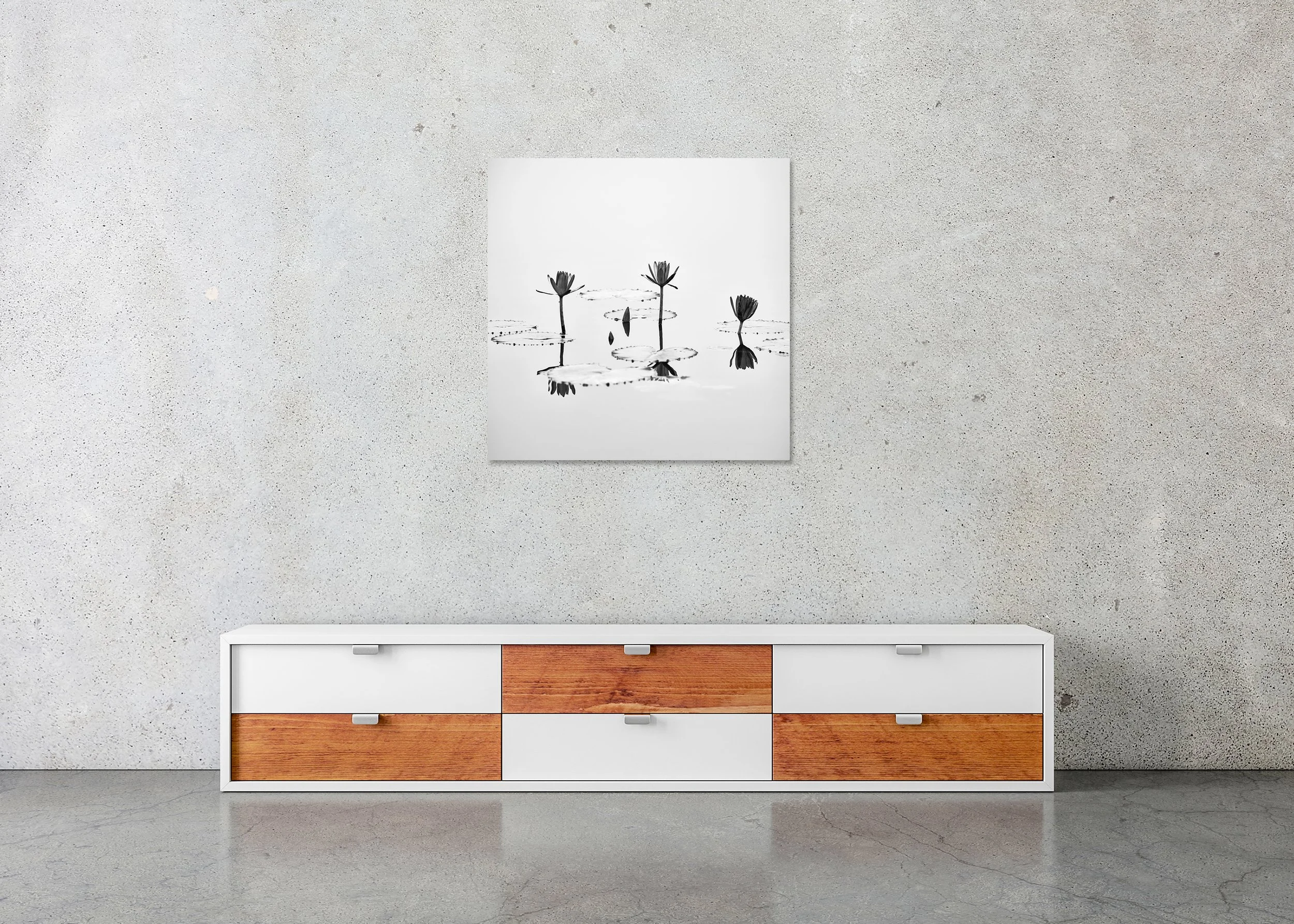 Black-and-white lotus flower photograph above still water with soft reflections, photo print mounted to Dibond, frameless