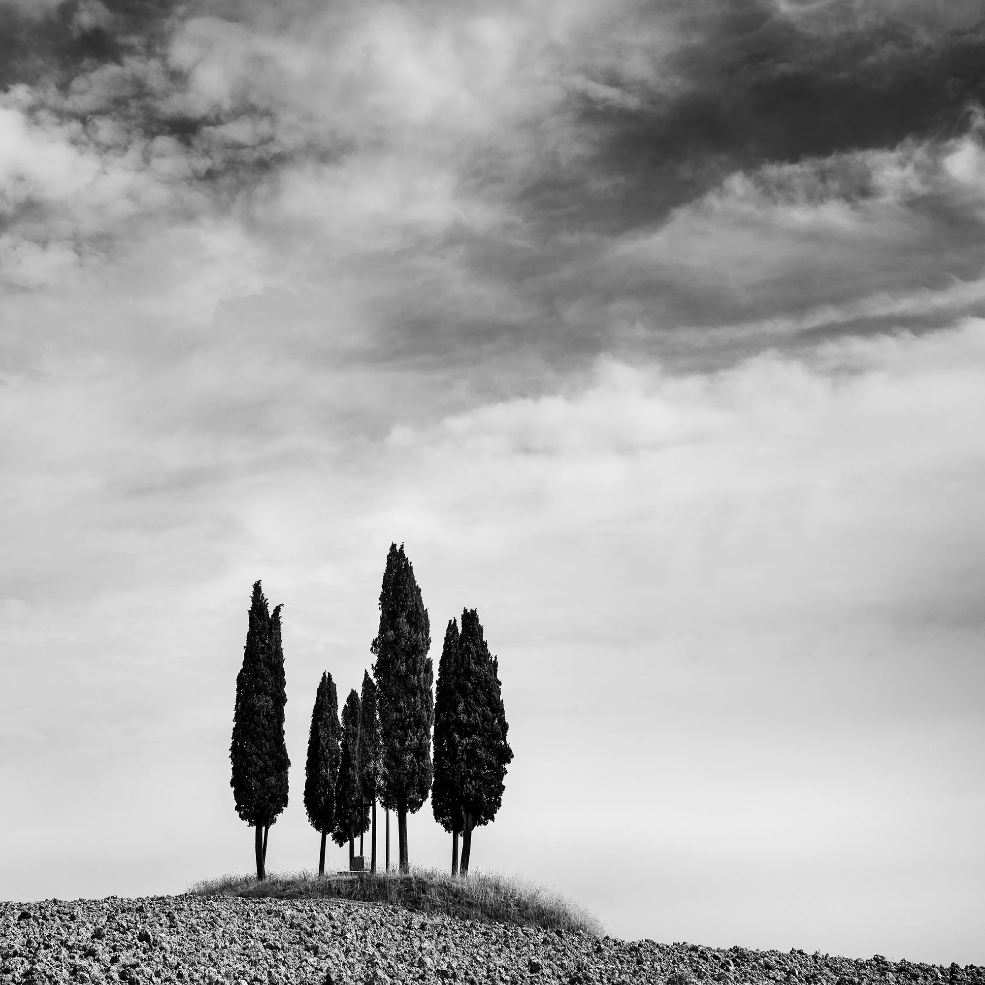 Detail of Circle of Cypress Trees Study 2 showing the cypress cluster and textured Tuscan landscape by Gerald Berghammer.