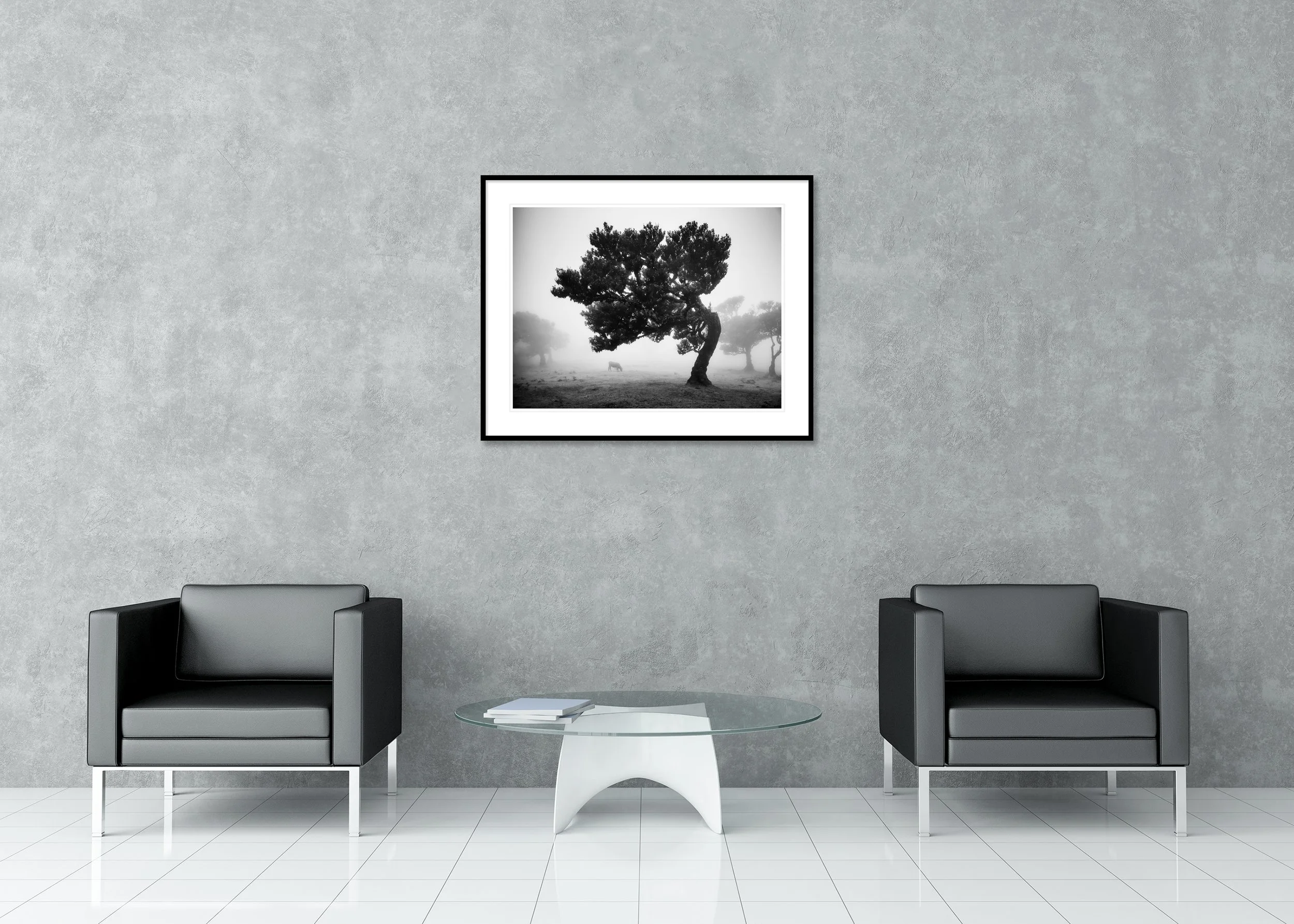 Black-and-white photograph of cows in a foggy pasture with a lone tree in Fanal, Madeira, Portugal, archival pigment print in a classic frame with passe-partout