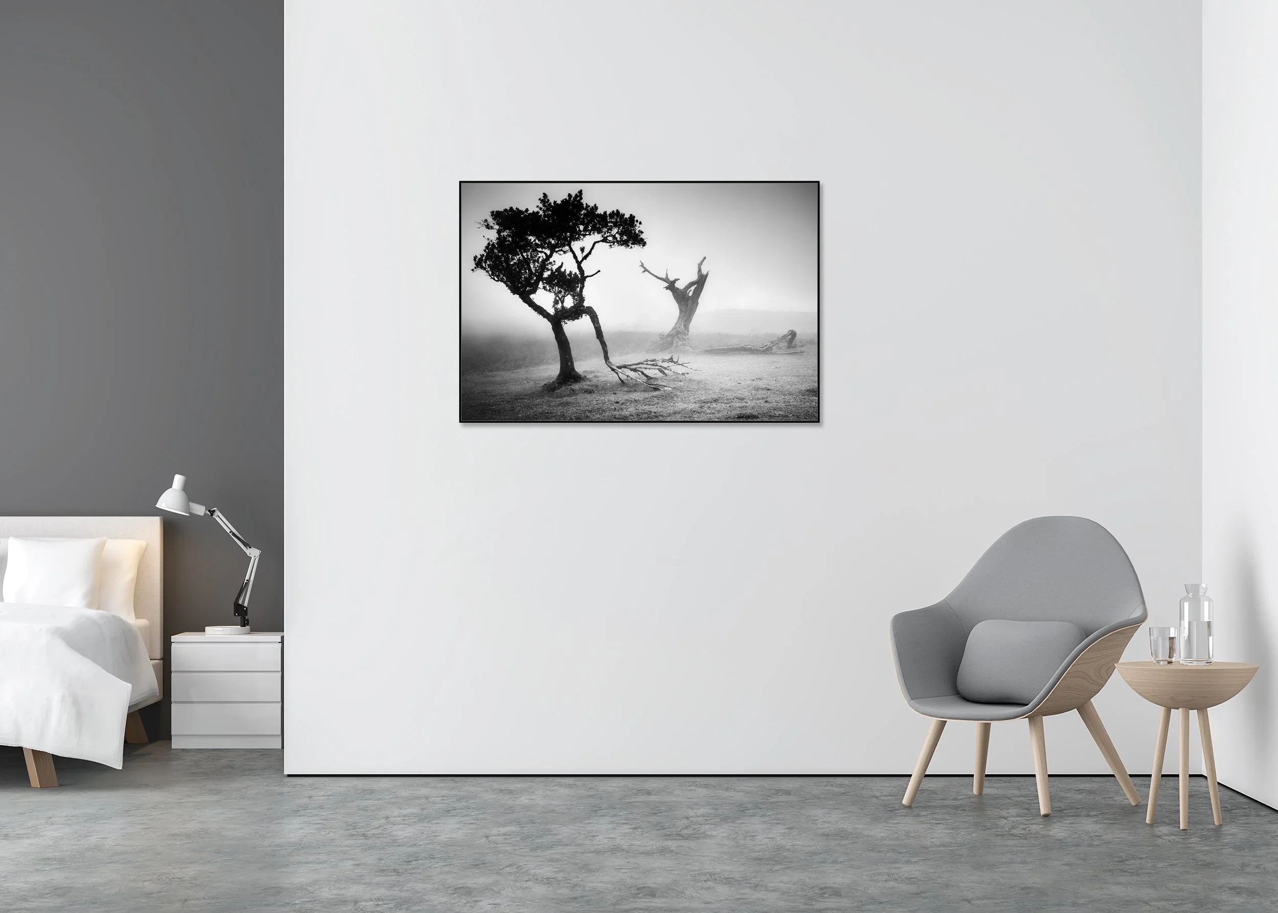 Misty laurisilva forest at Fanal, Madeira Island, Portugal, with a gnarled tree and open meadow, ChromaLuxe metal print in aluminium ArtBox frame