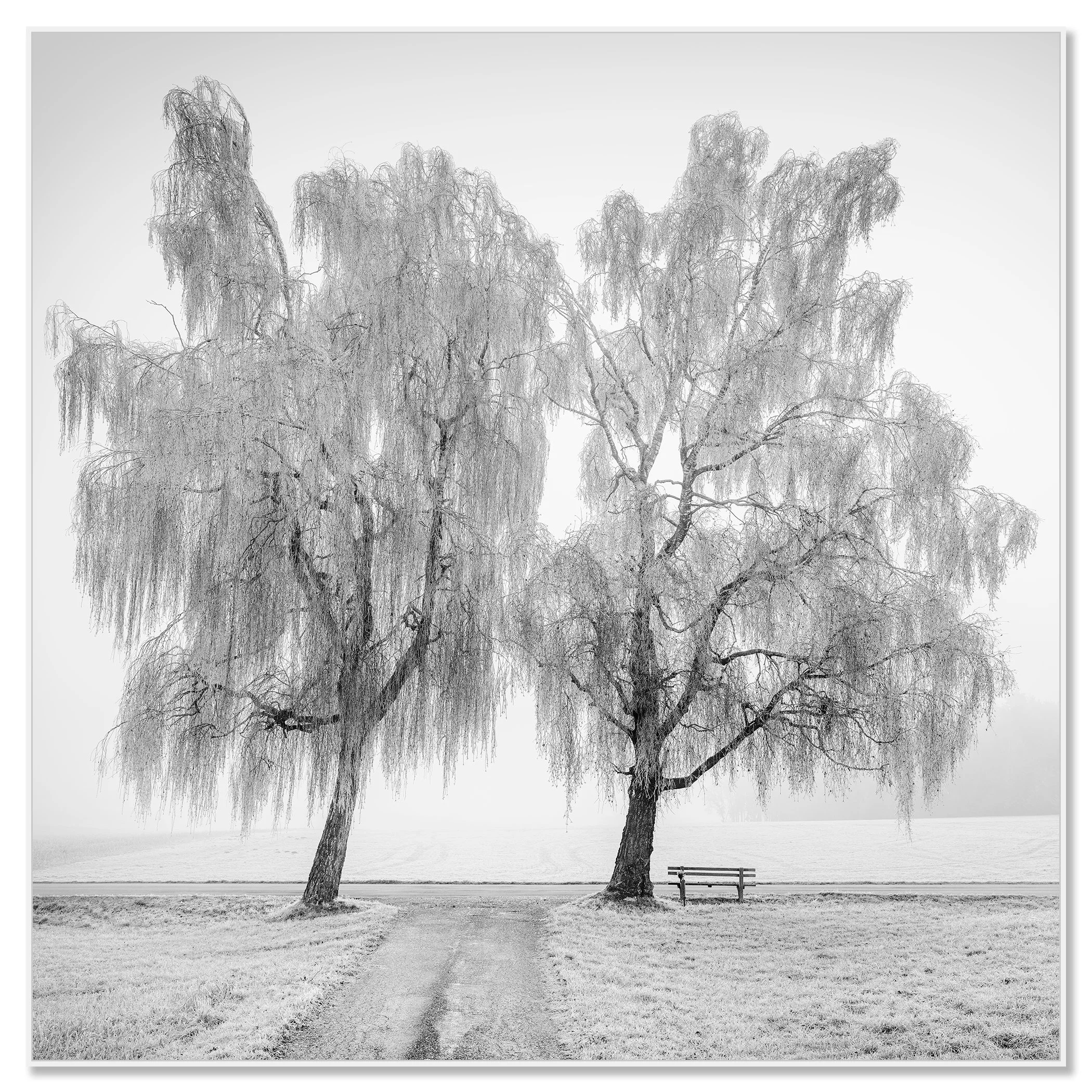 Place to Linger, Winter Study 1 – black-and-white photograph in a white aluminium ArtBox frame by Gerald Berghammer.