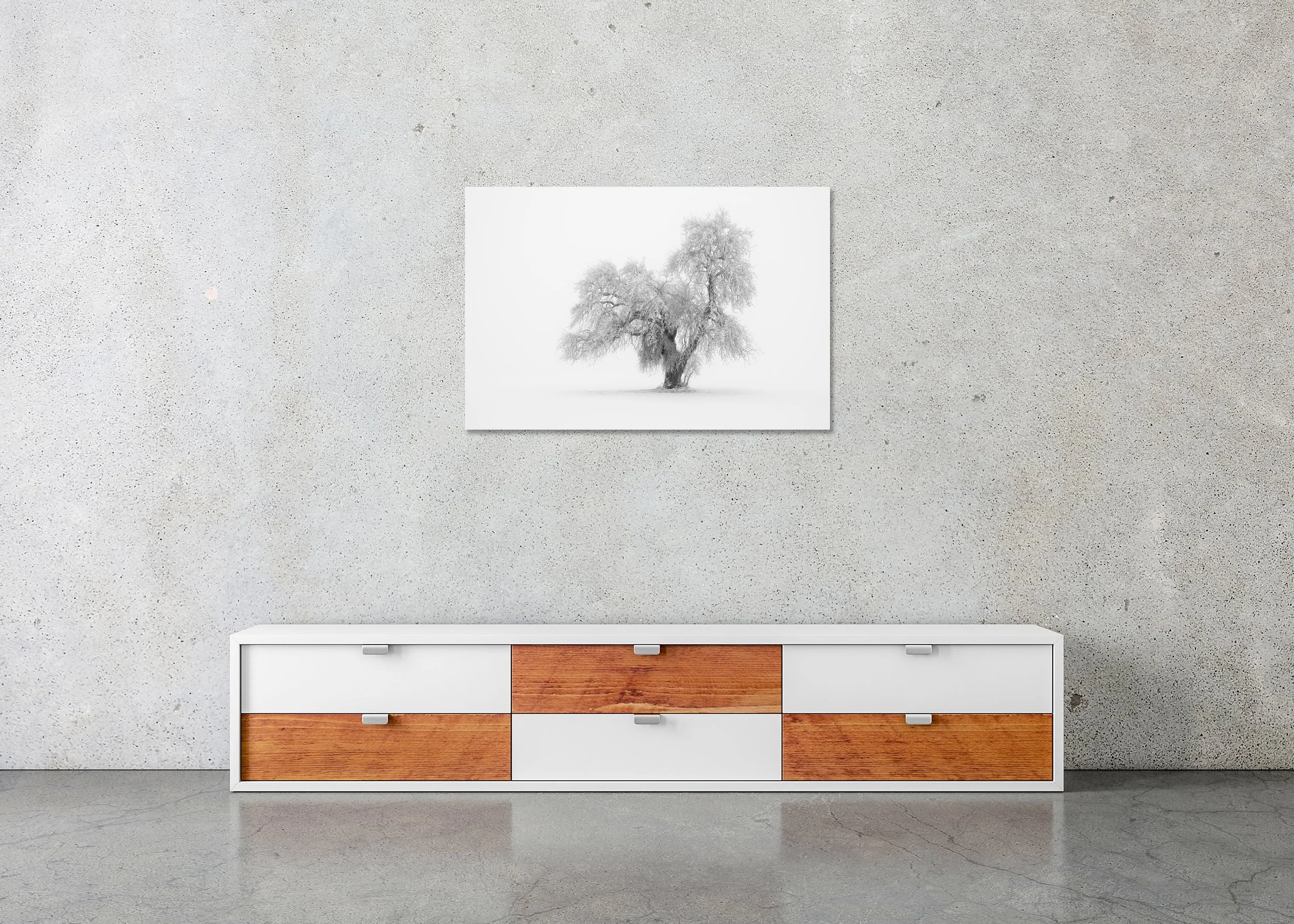 Minimalist Winter Tree Study 1 displayed in a modern interior as a frameless black-and-white aluminium Dibond print by Gerald Berghammer.