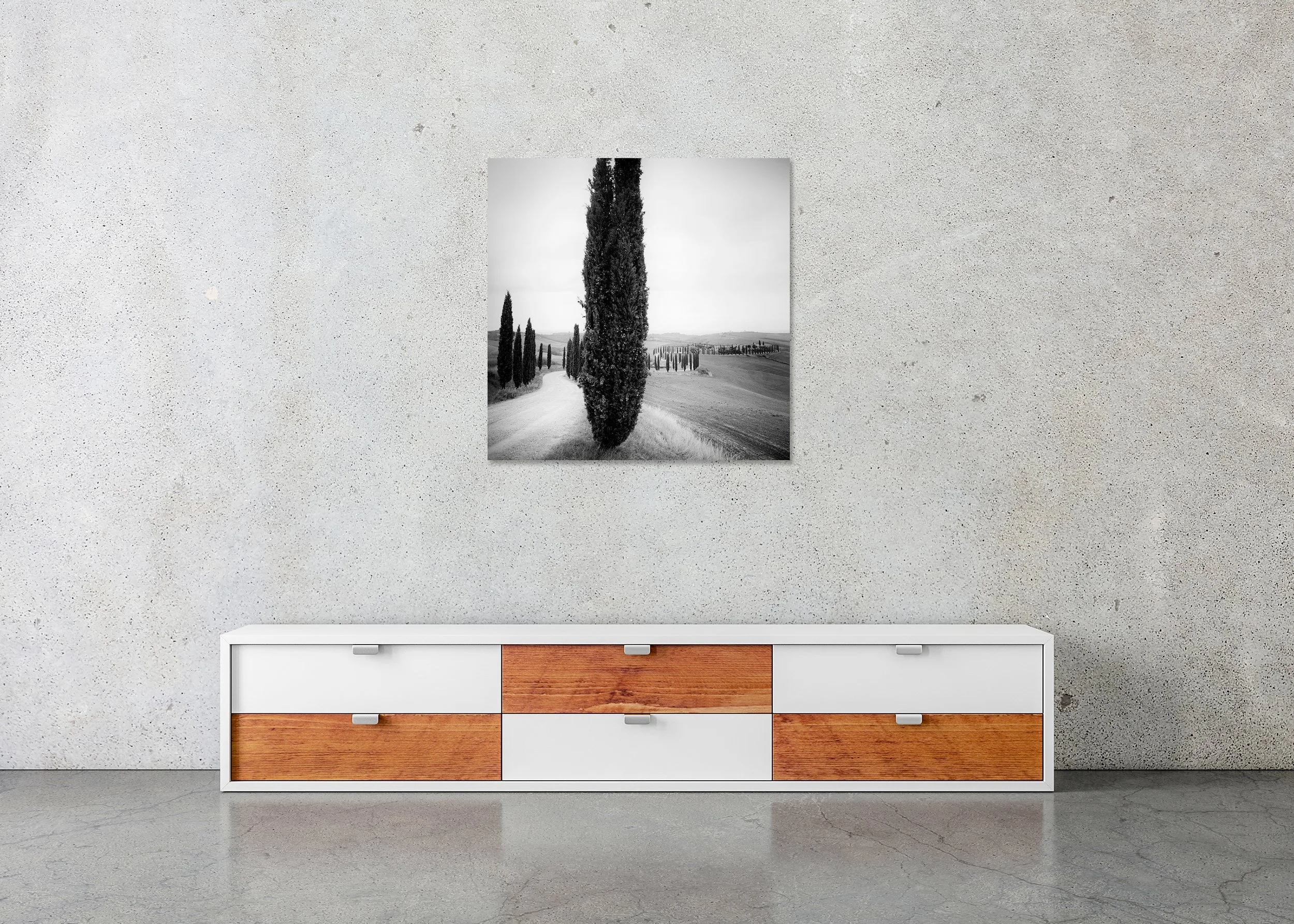Cypress Trees Study 2 displayed in a modern interior as a frameless black-and-white artwork mounted on aluminium Dibond by Gerald Berghammer.
