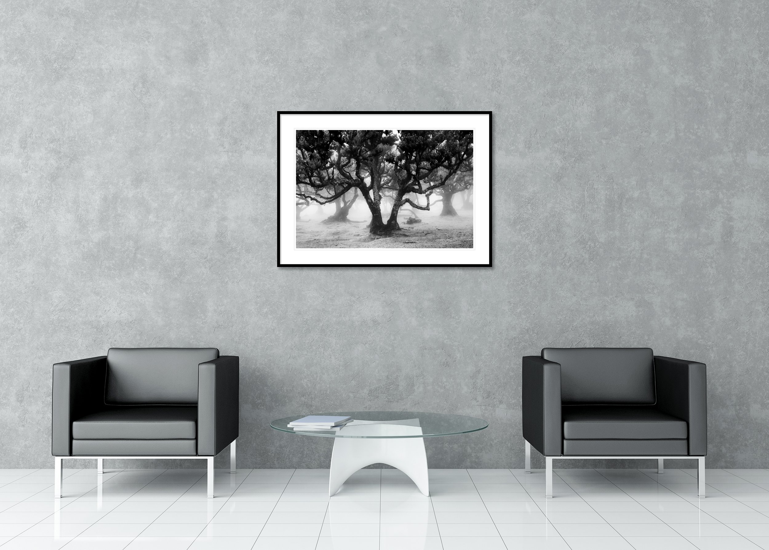 Fanal Forest Study 1 by Gerald Berghammer displayed in a contemporary interior in a black aluminium frame with a white mount.