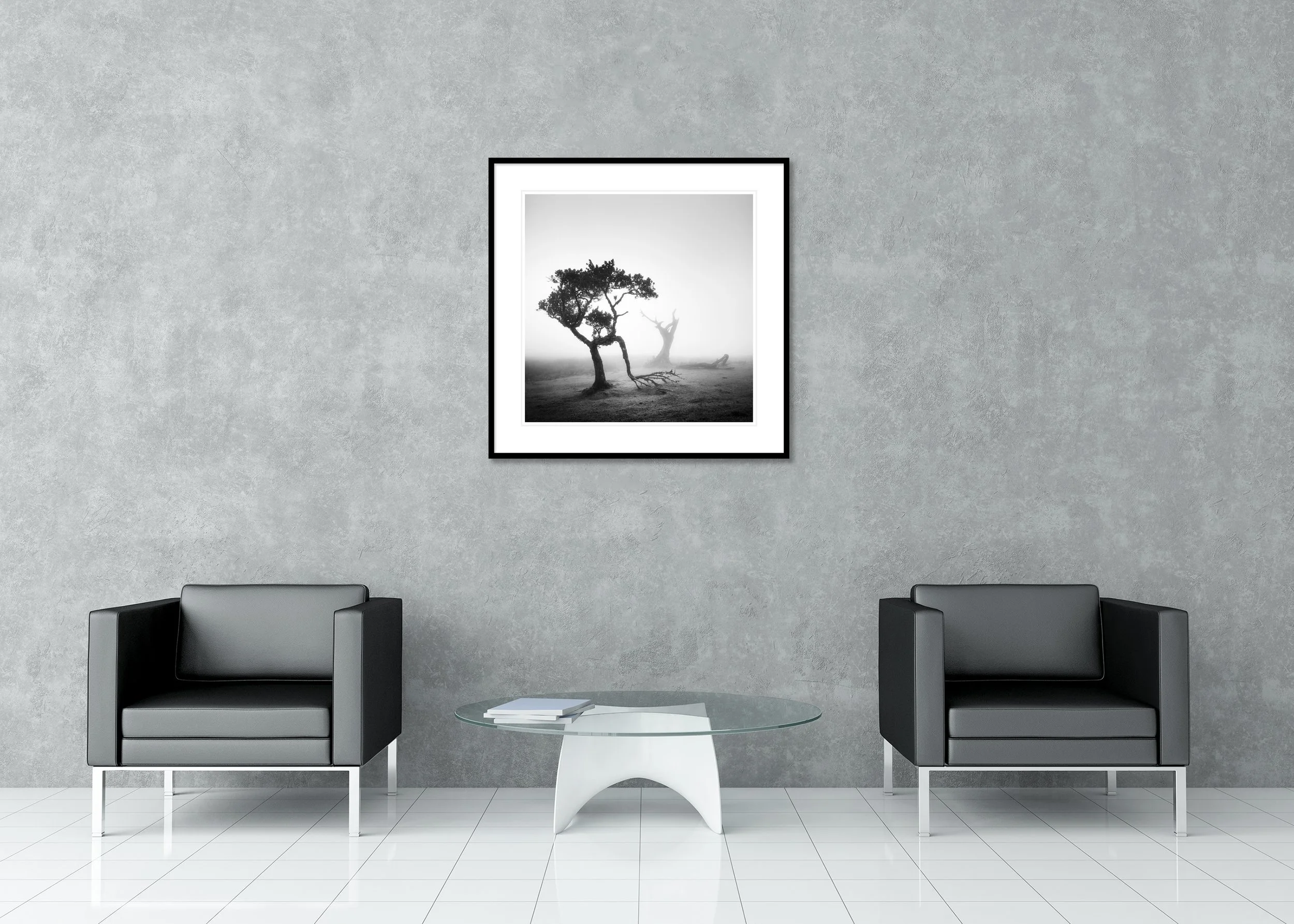 Ancient Laurel Cloud Forest Study 1 by Gerald Berghammer, framed black-and-white fine art print with white mount displayed in a modern sitting room.