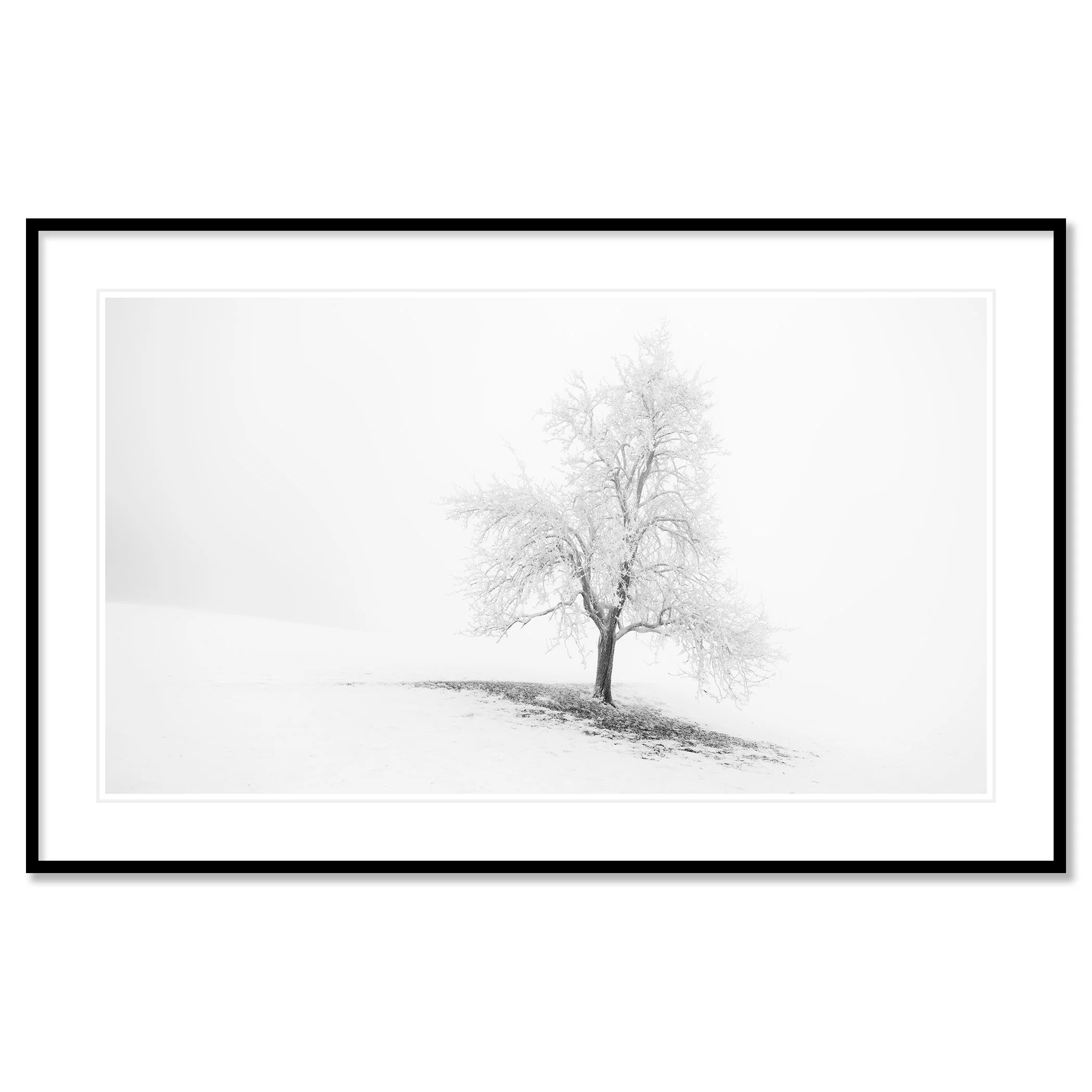 Frosted Winter Tree Panorama – Austria, black-and-white fine art print in a black aluminium frame with a white mount