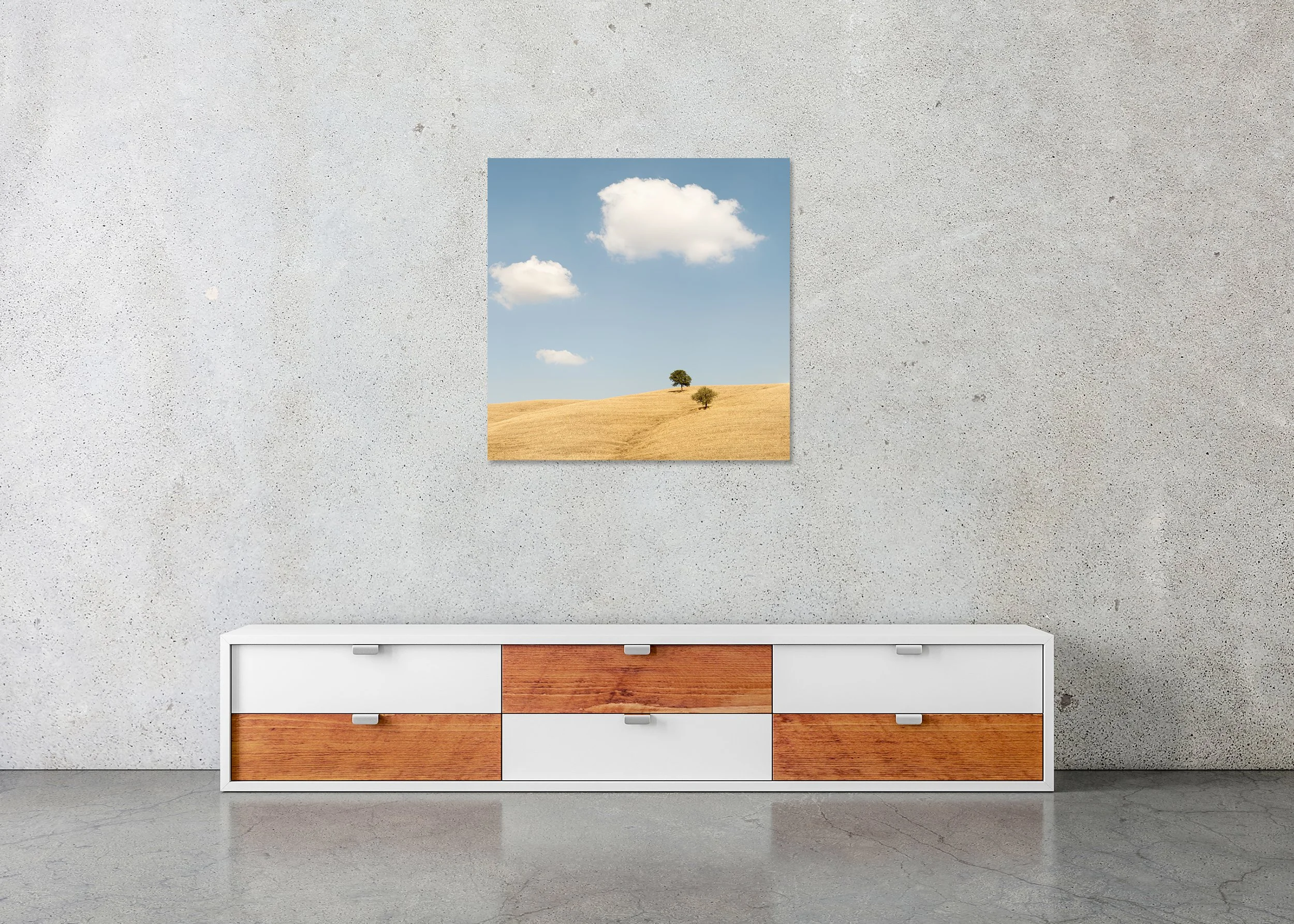 Golden rolling hills in Tuscany with two trees, soft white clouds and blue sky, photo print mounted to Dibond, frameless