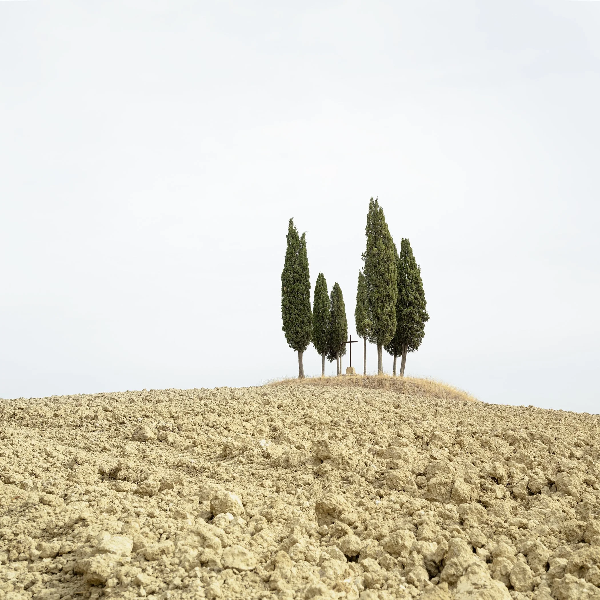 Gerald Berghammer - Color minimalist landscape photography. A small group of tall, slender cypress trees on a dry, barren hilltop against a cloudy sky.