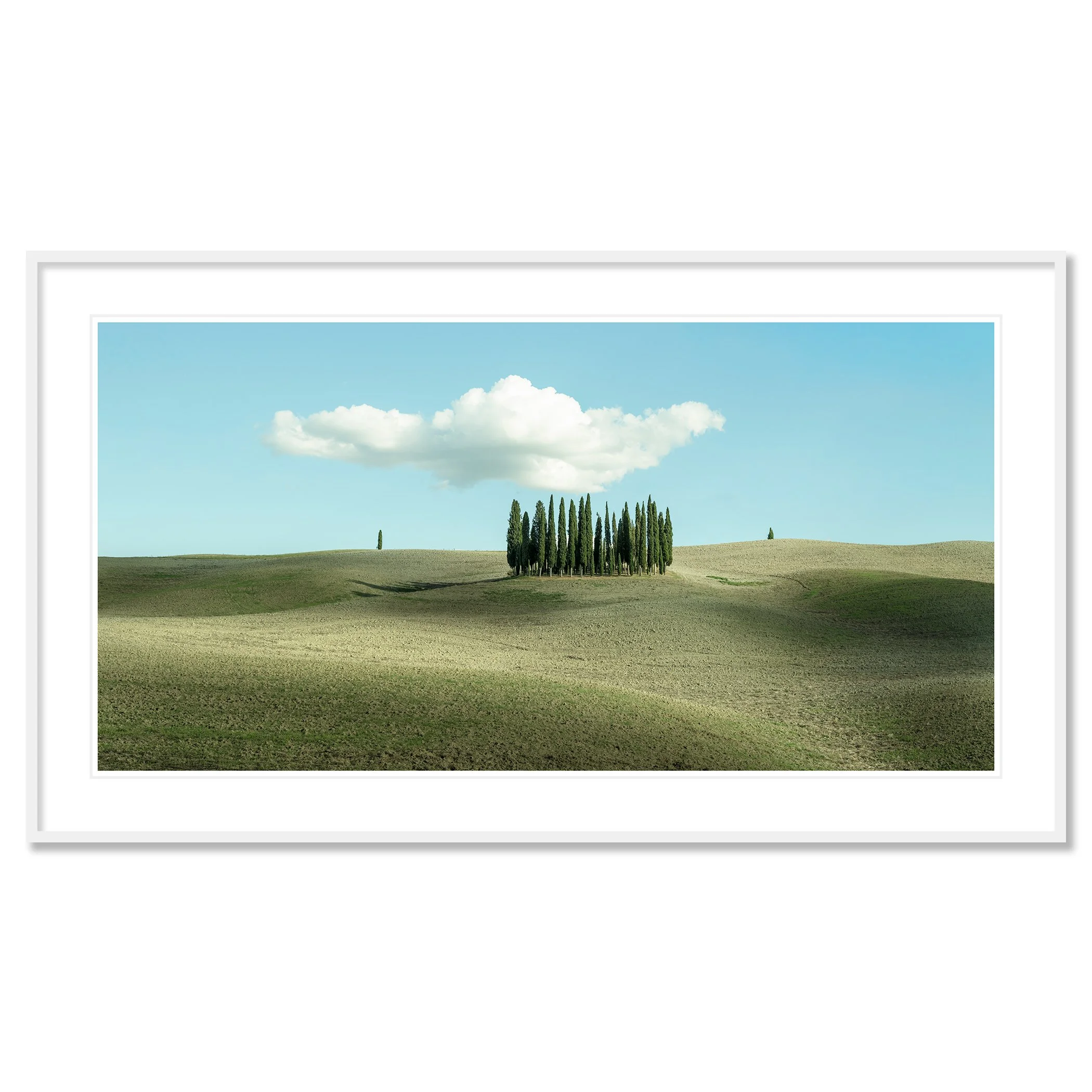 © 2023 Gerald Berghammer - Color minimalist photography. Open landscape with rolling hills, a small cluster of tall, thin green trees, and a large, fluffy cloud in the sky. Classic framed white