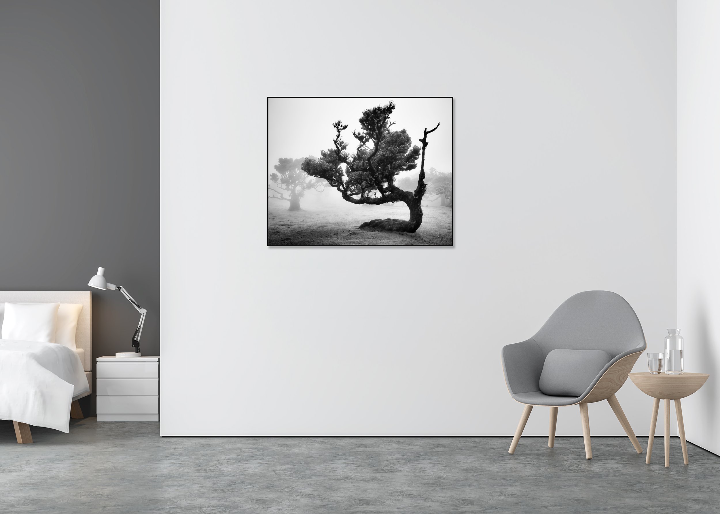 Ancient Laurisilva Forest Study 12 displayed in a modern interior, mounted on aluminium Dibond in a black ArtBox frame by Gerald Berghammer.