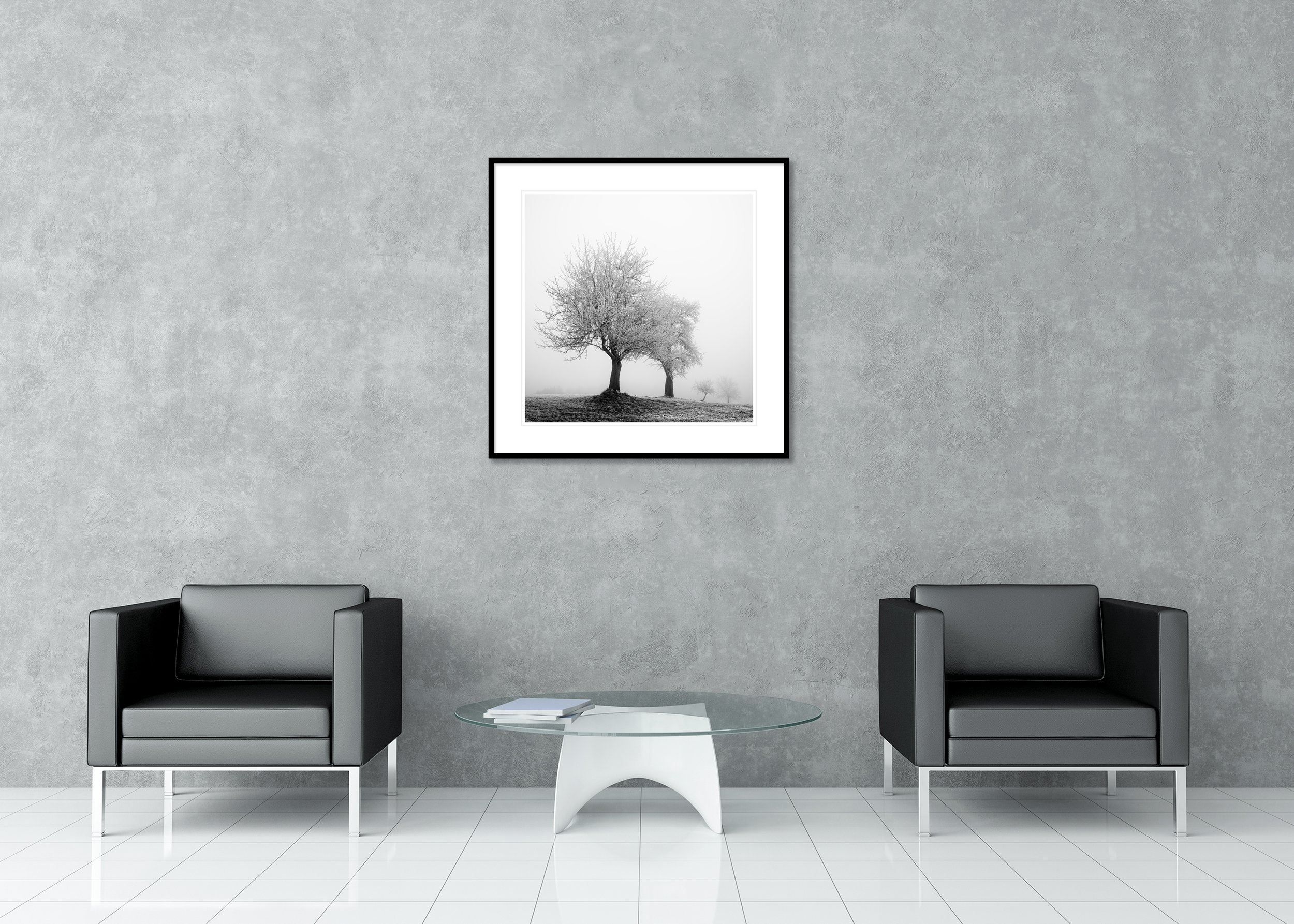 Monochrome archival pigment print of frosted trees on a gentle slope in dense morning fog, presented in a classic frame with a mount