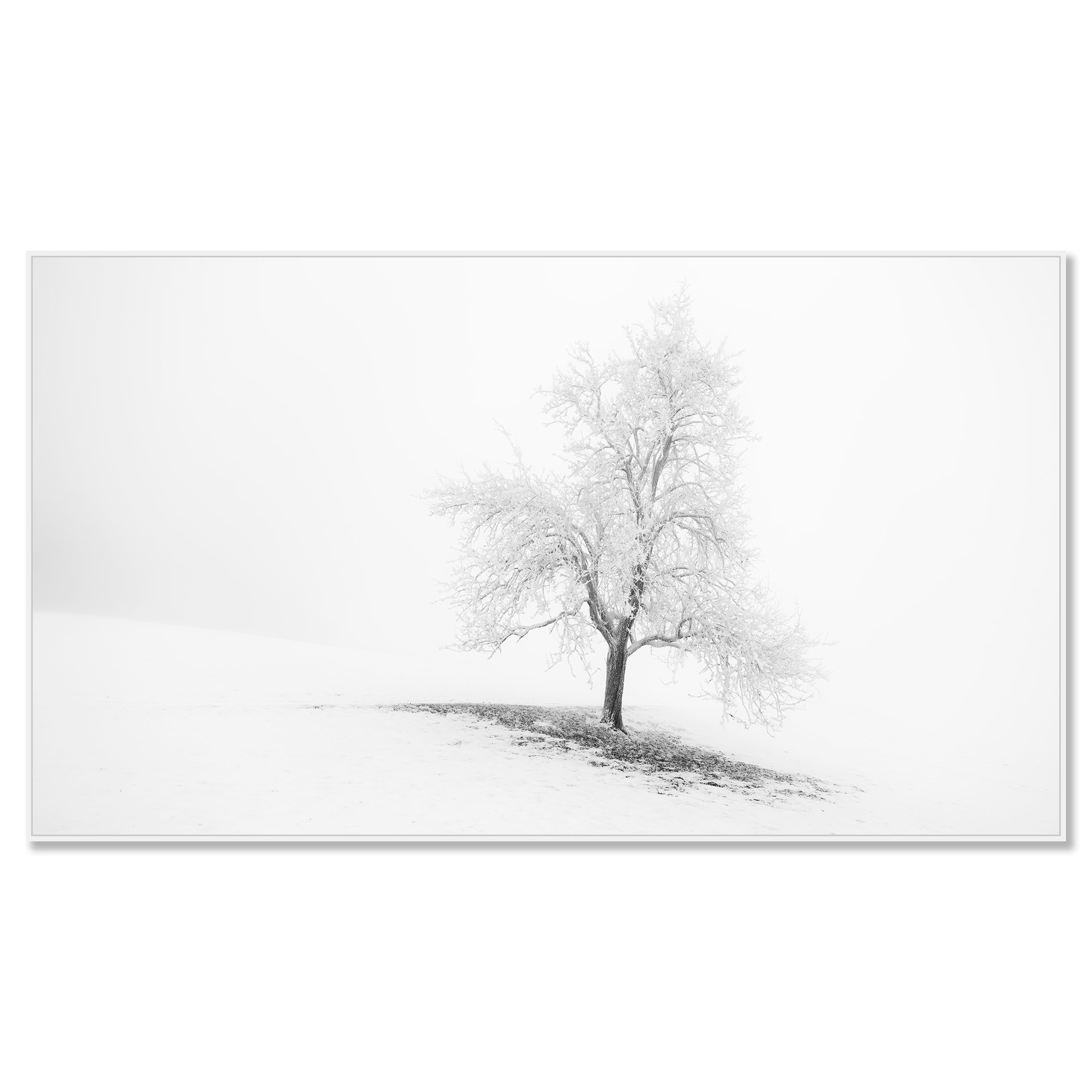 Frosted Winter Tree Panorama – Austria, black-and-white photograph in a white aluminium ArtBox frame