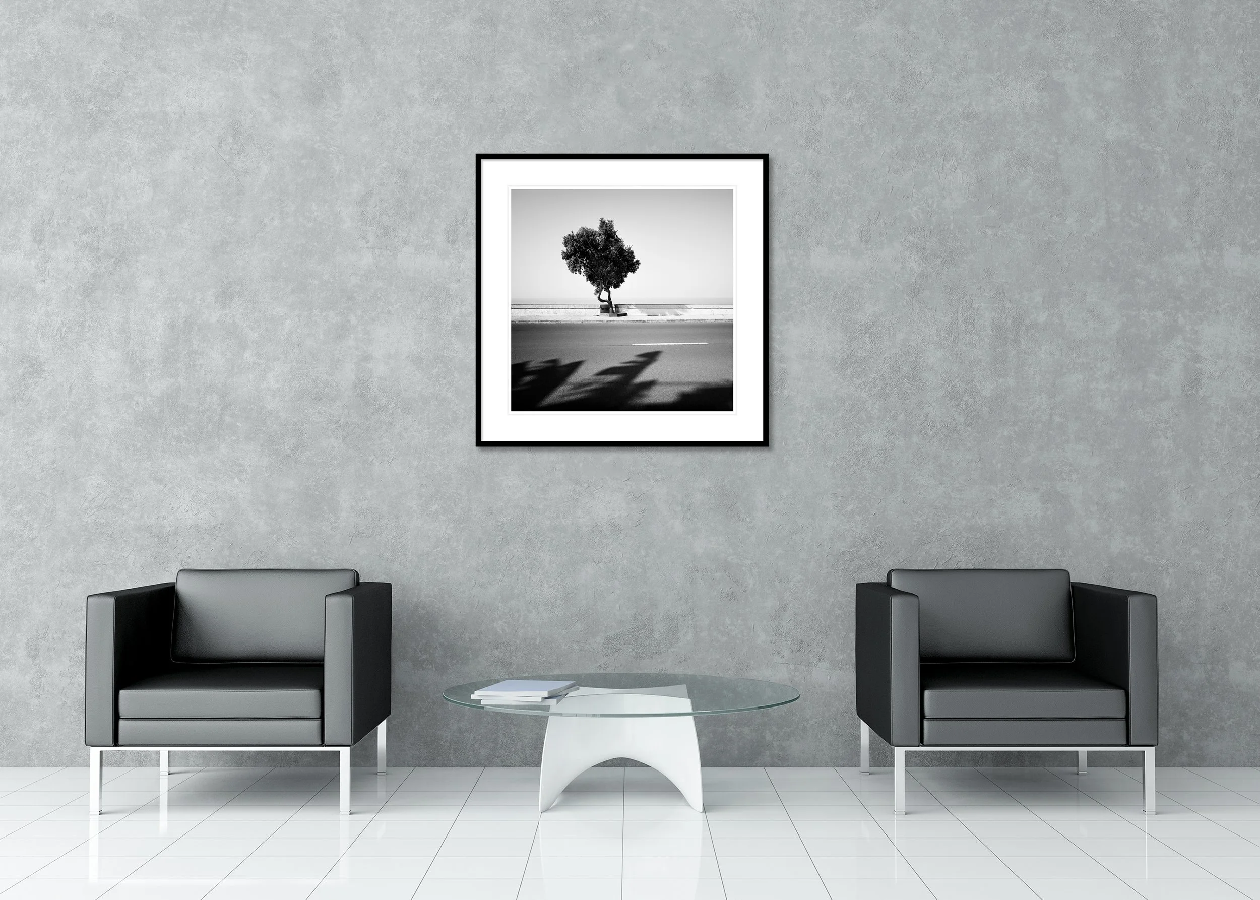 Minimal black and white seafront scene with a single tree, empty road and long shadows, archival pigment print in a classic frame with window mount.