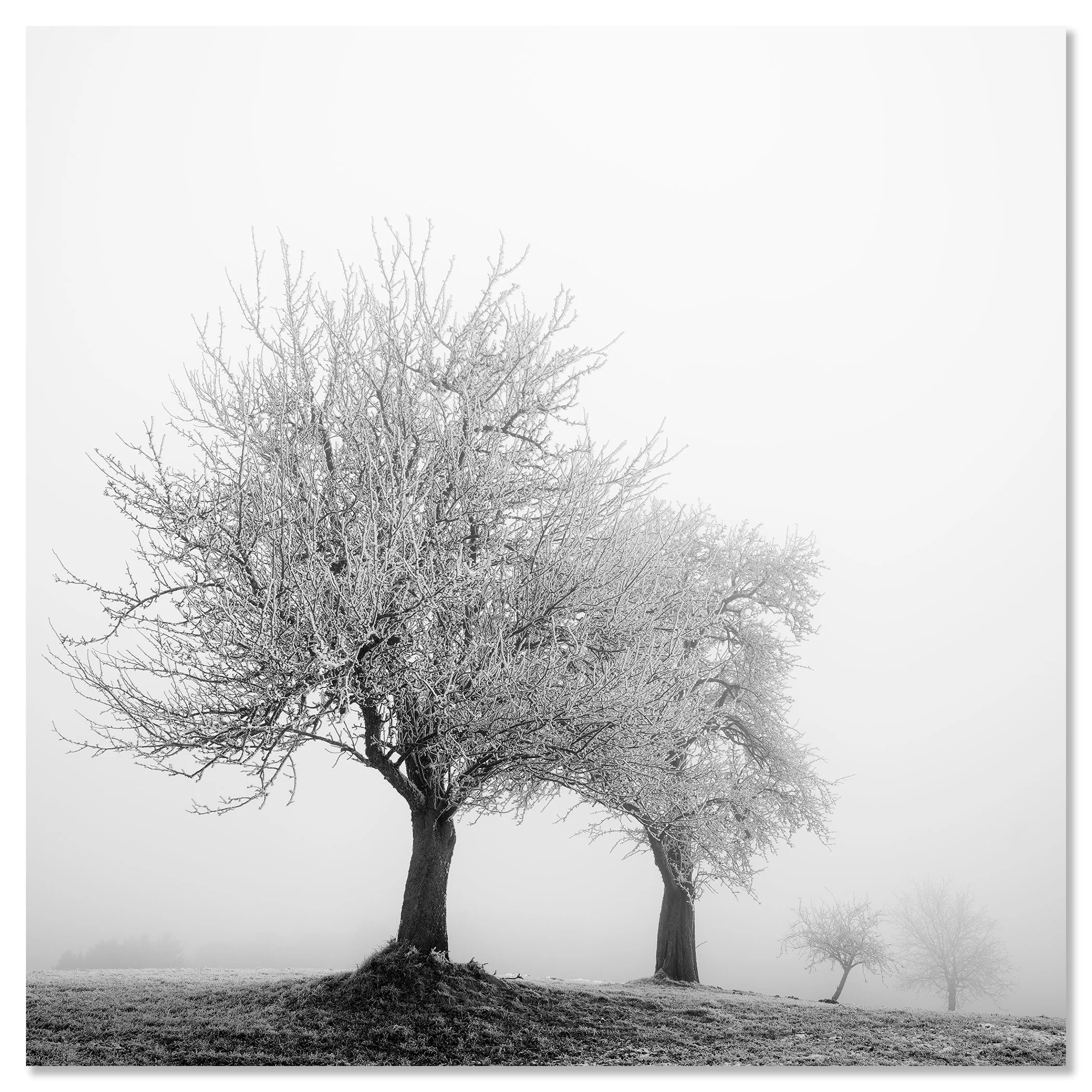 Frozen Landscape Study 1, frameless black-and-white aluminium Dibond print by Gerald Berghammer.