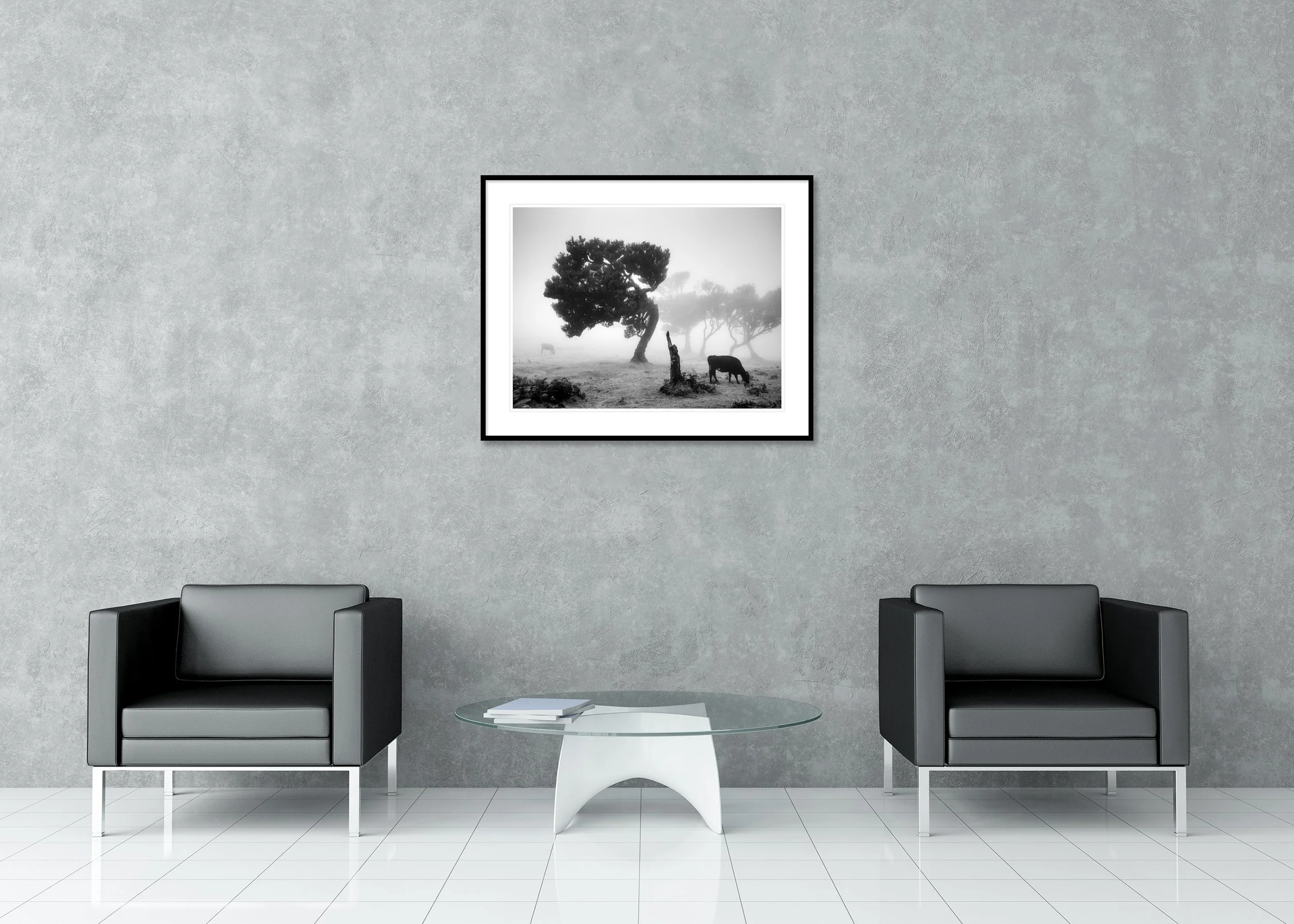 Cows on a Foggy Pasture, Study 1 – Madeira, archival pigment print in an aluminium frame with a white mount displayed in a modern interior. Photo by Gerald Berghammer.