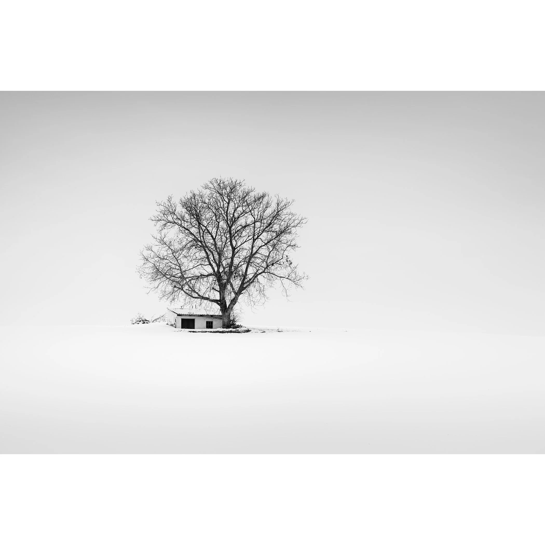 Minimalist black-and-white landscape of a wine press house in winter farmland, Austria