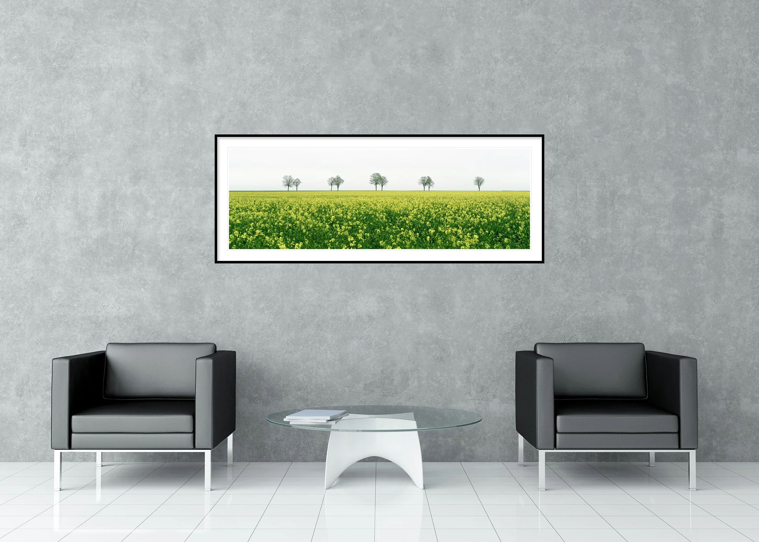 Row of Trees in Yellow Field Panorama displayed in a modern interior as an archival pigment print in a black aluminium frame with a white mount.