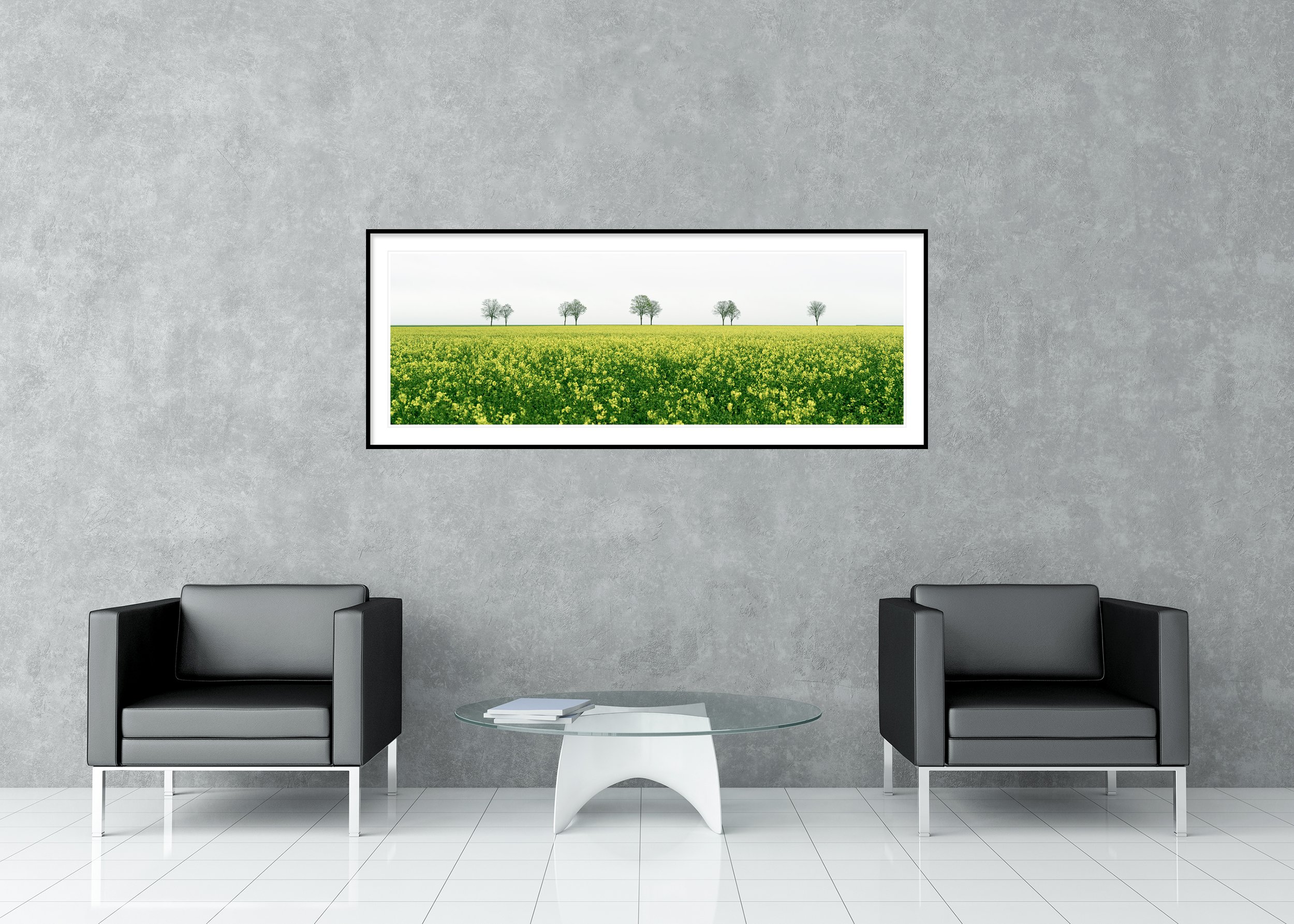 Yellow rapeseed field with scattered trees beneath an overcast sky, archival pigment print in a classic frame with a mount