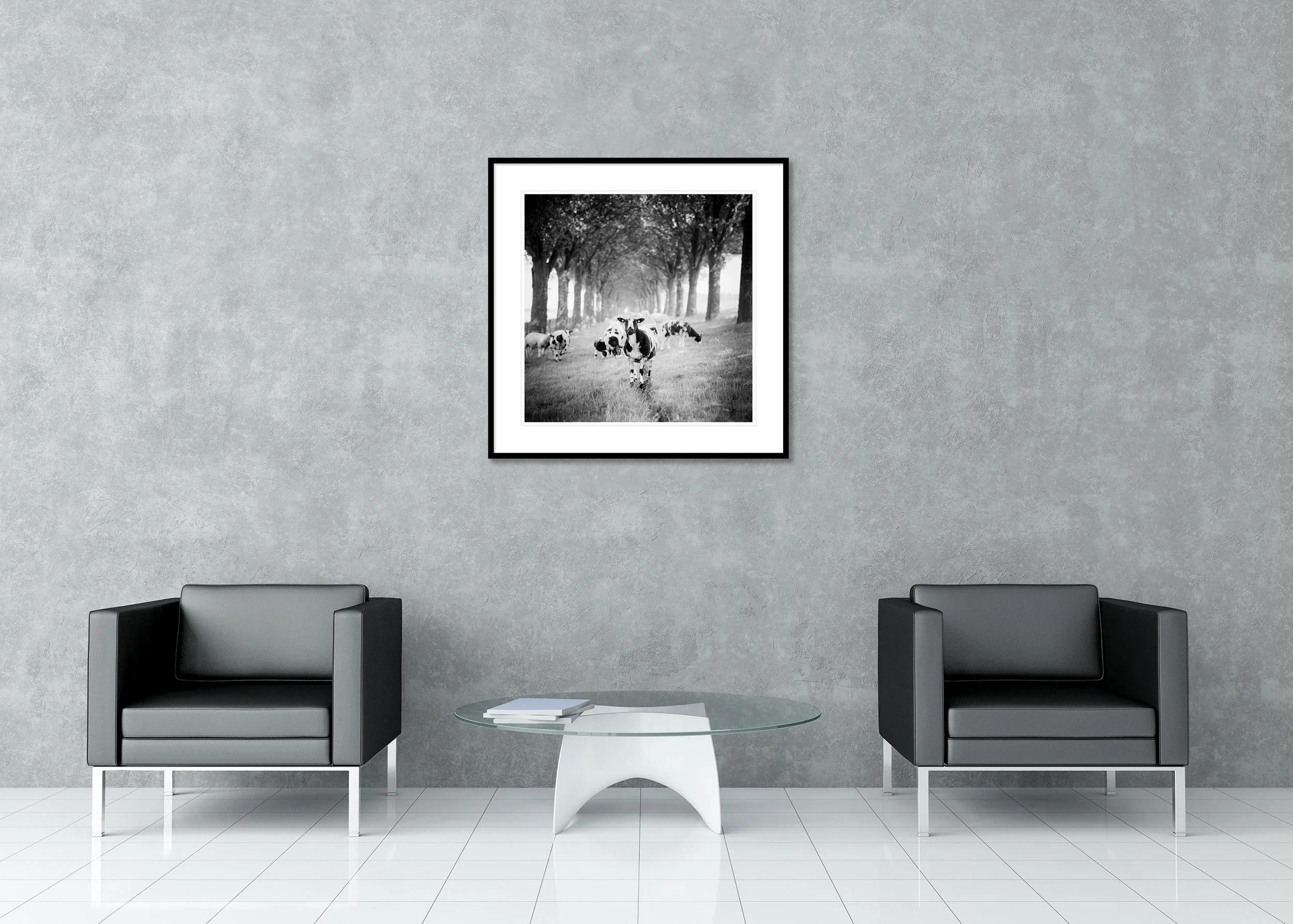 Shaun the Sheep Study 1 – Netherlands, black-and-white archival pigment print in a classic frame with a mount and anti-reflective glass