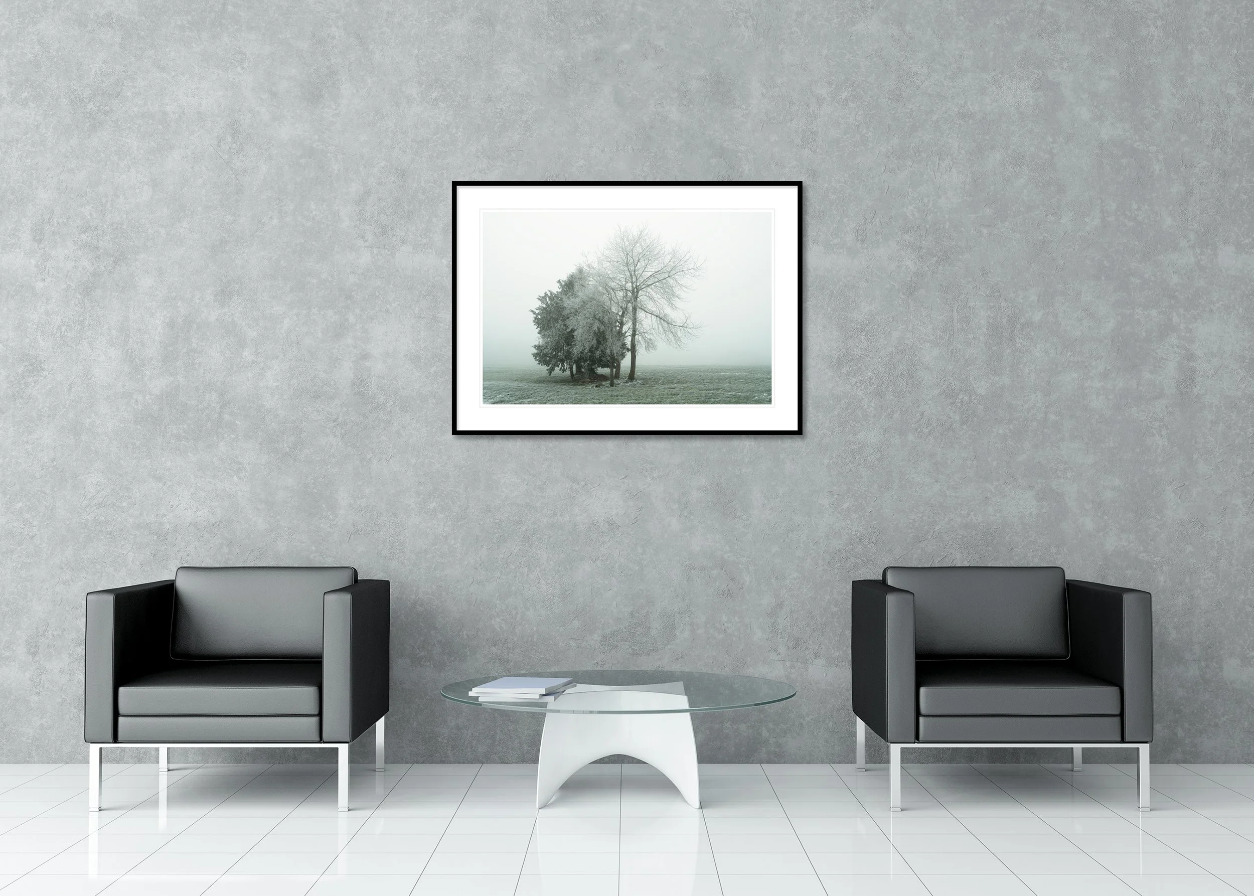 Group of Hoar-Frosted Trees Study 1 displayed in a modern interior as an archival pigment print in an aluminium frame with white mount by Gerald Berghammer.