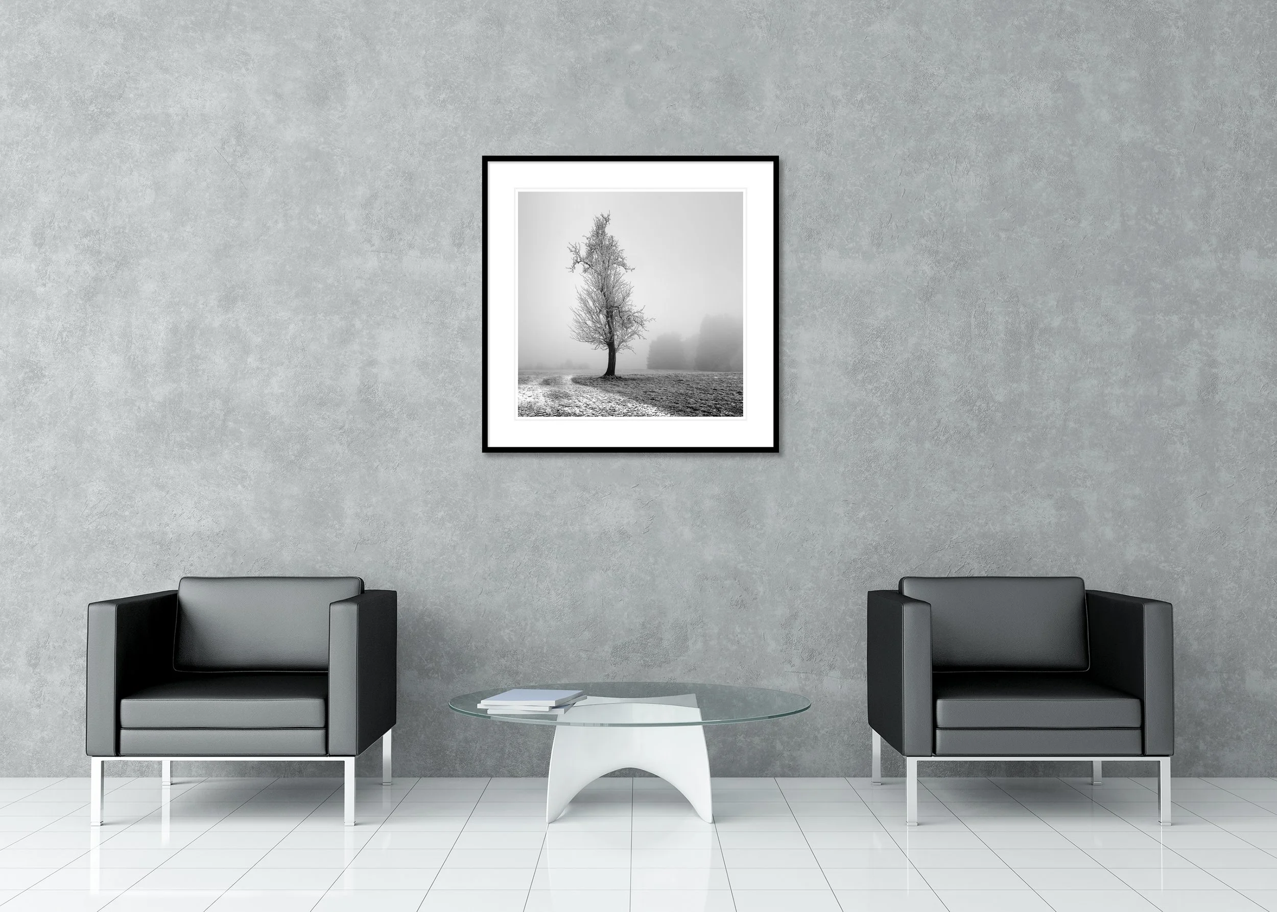 Black and white landscape print with a bare tree, fog and frosty grass, archival pigment print in a classic frame with a mount