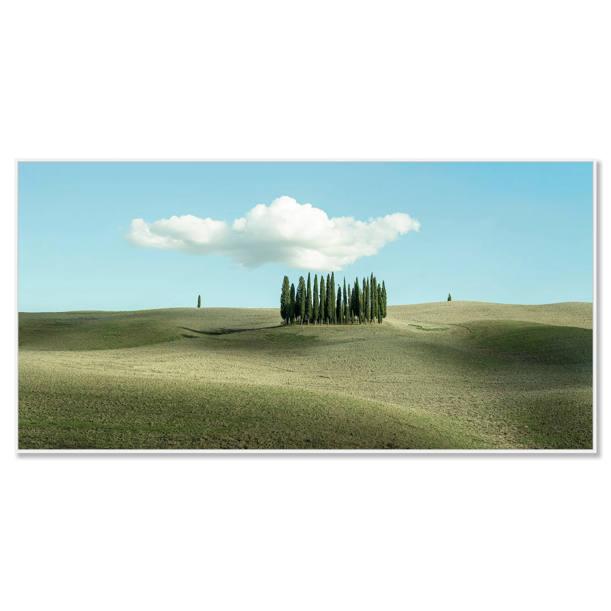 © 2023 Gerald Berghammer - Color minimalist photography. Open landscape with rolling hills, a small cluster of tall, thin green trees, and a large, fluffy cloud in the sky. Chromaluxe framed white