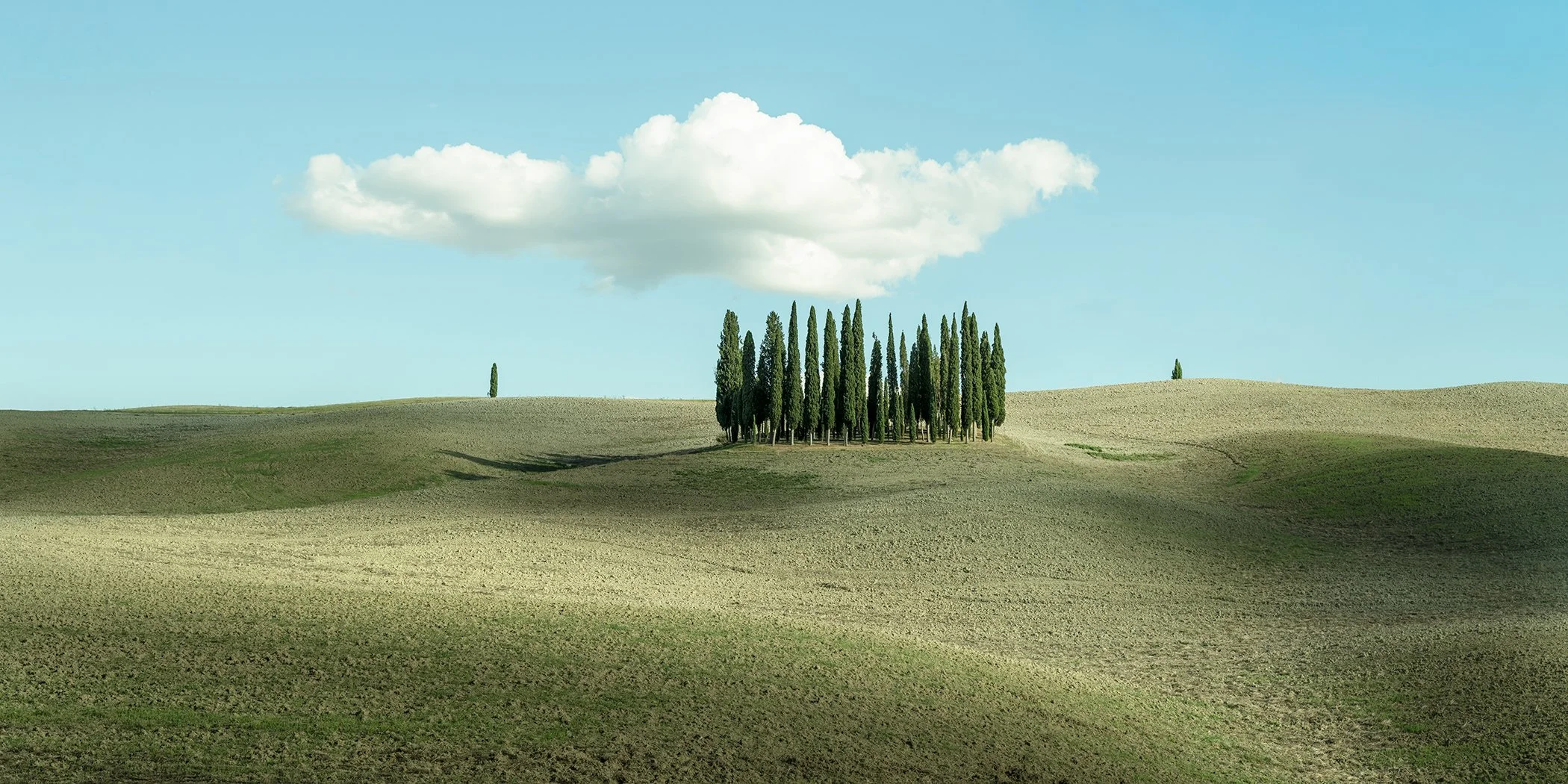 Huge Cloud over Cypress Trees by Gerald Berghammer, colour photograph of a cluster of cypress trees on rolling Tuscan hills beneath a large white cloud in Italy.