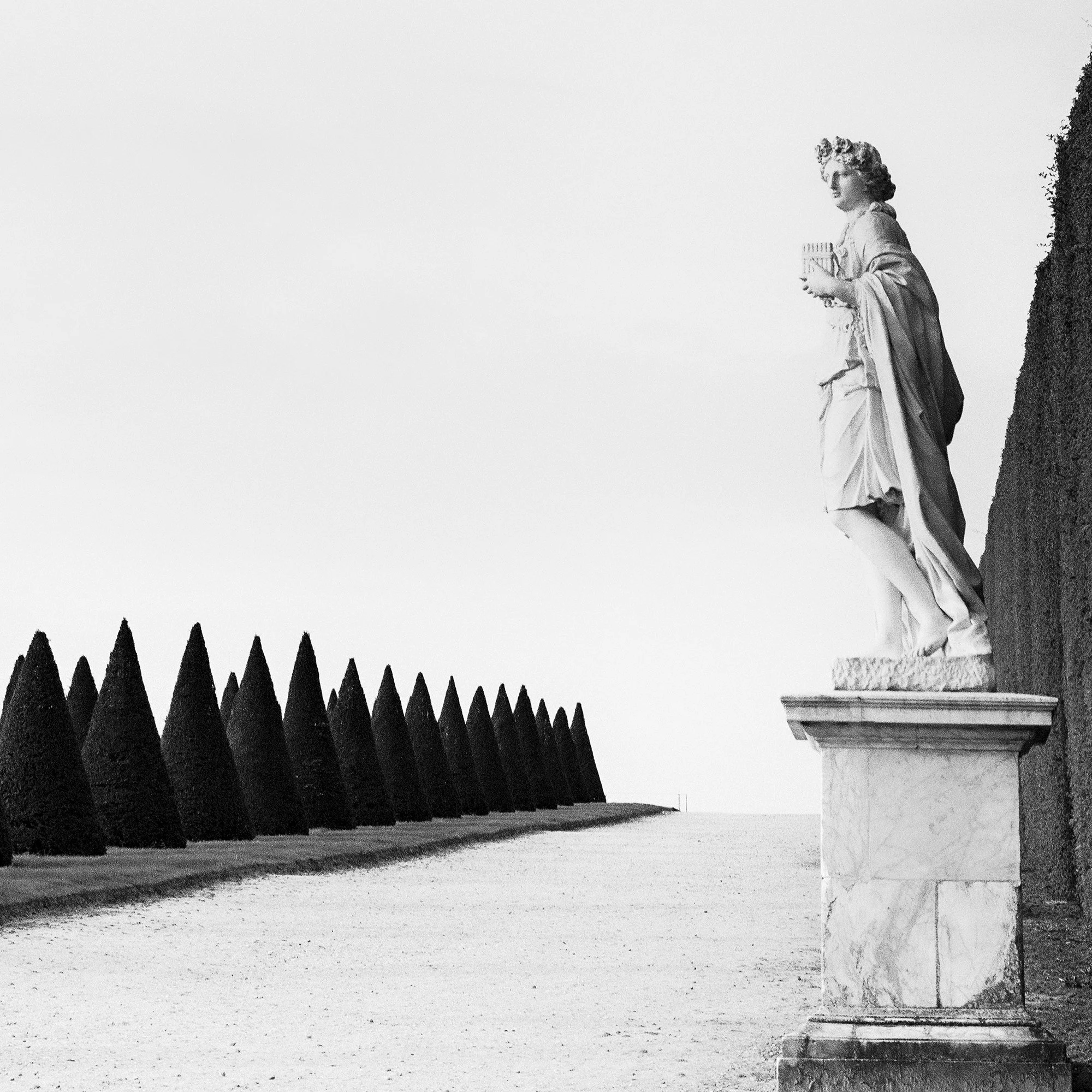 © 2017 Gerald Berghammer - Black and white landscape photography. Statue of a person along a tall hedge, with a row of trimmed cone-shaped trees. Print detail 3