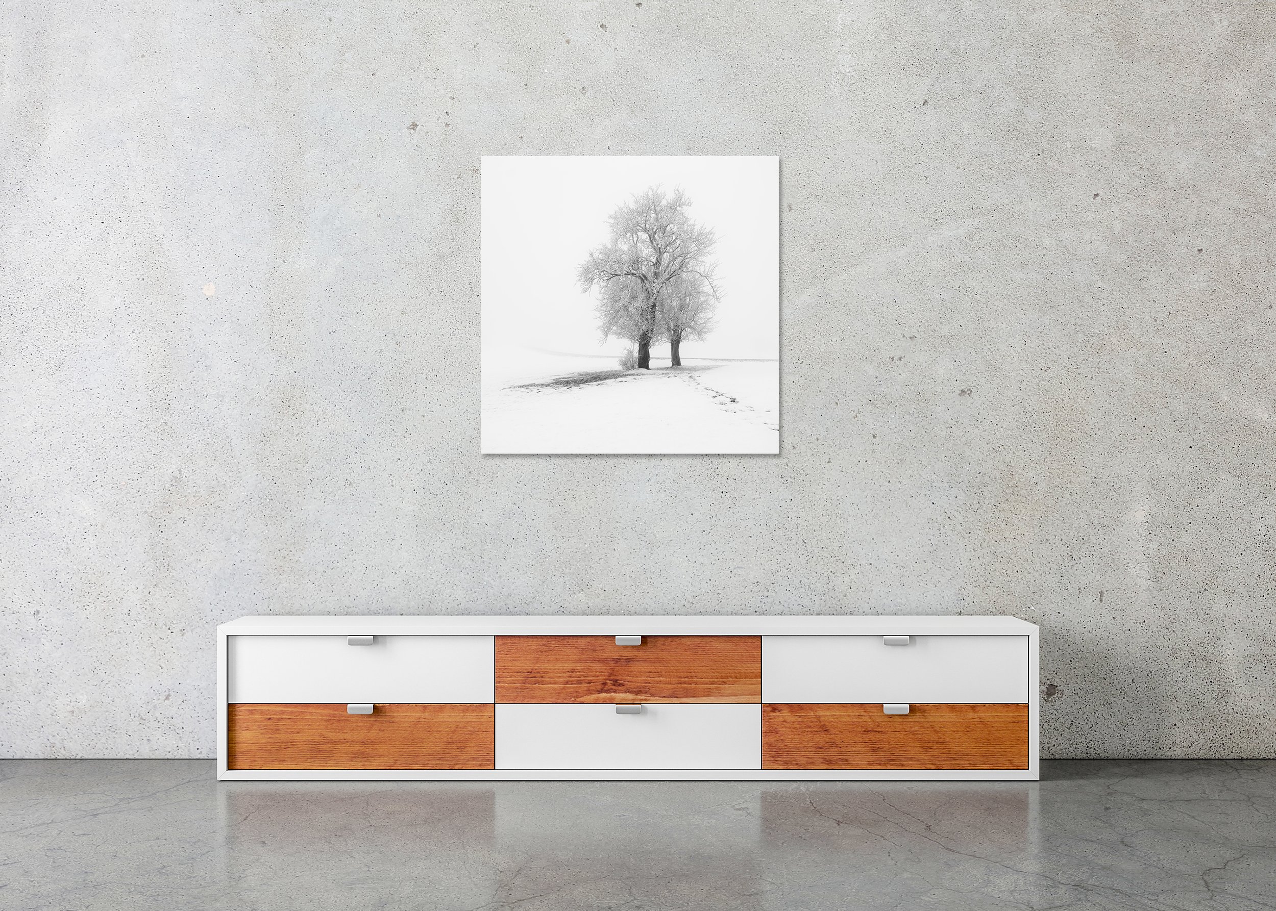 Frosted Trees in Silence – Austria, frameless black-and-white photograph on aluminium Dibond displayed above a low cabinet.