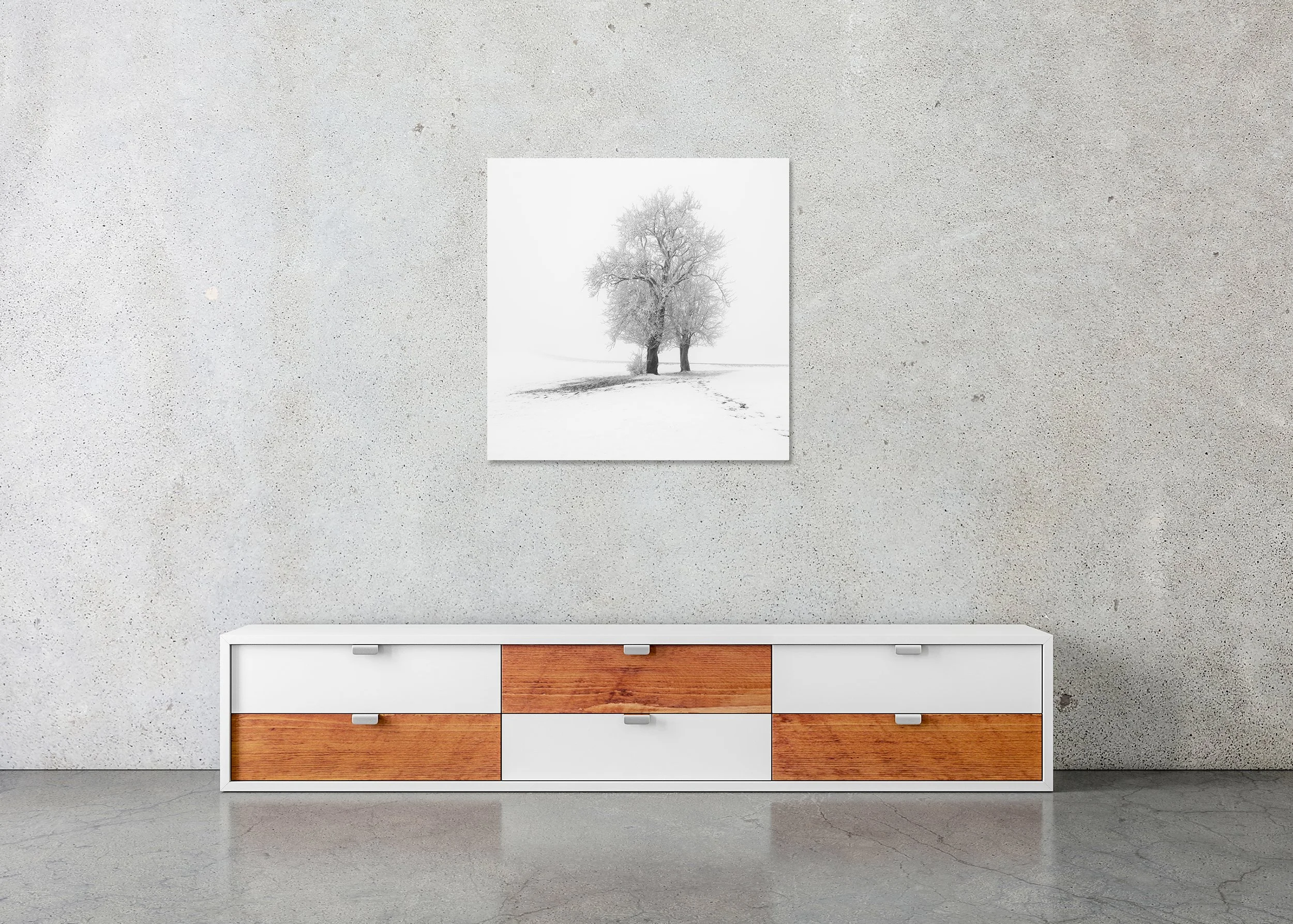 Frosted Trees in Silence displayed above a low cabinet as a frameless black-and-white aluminium Dibond print by Gerald Berghammer.