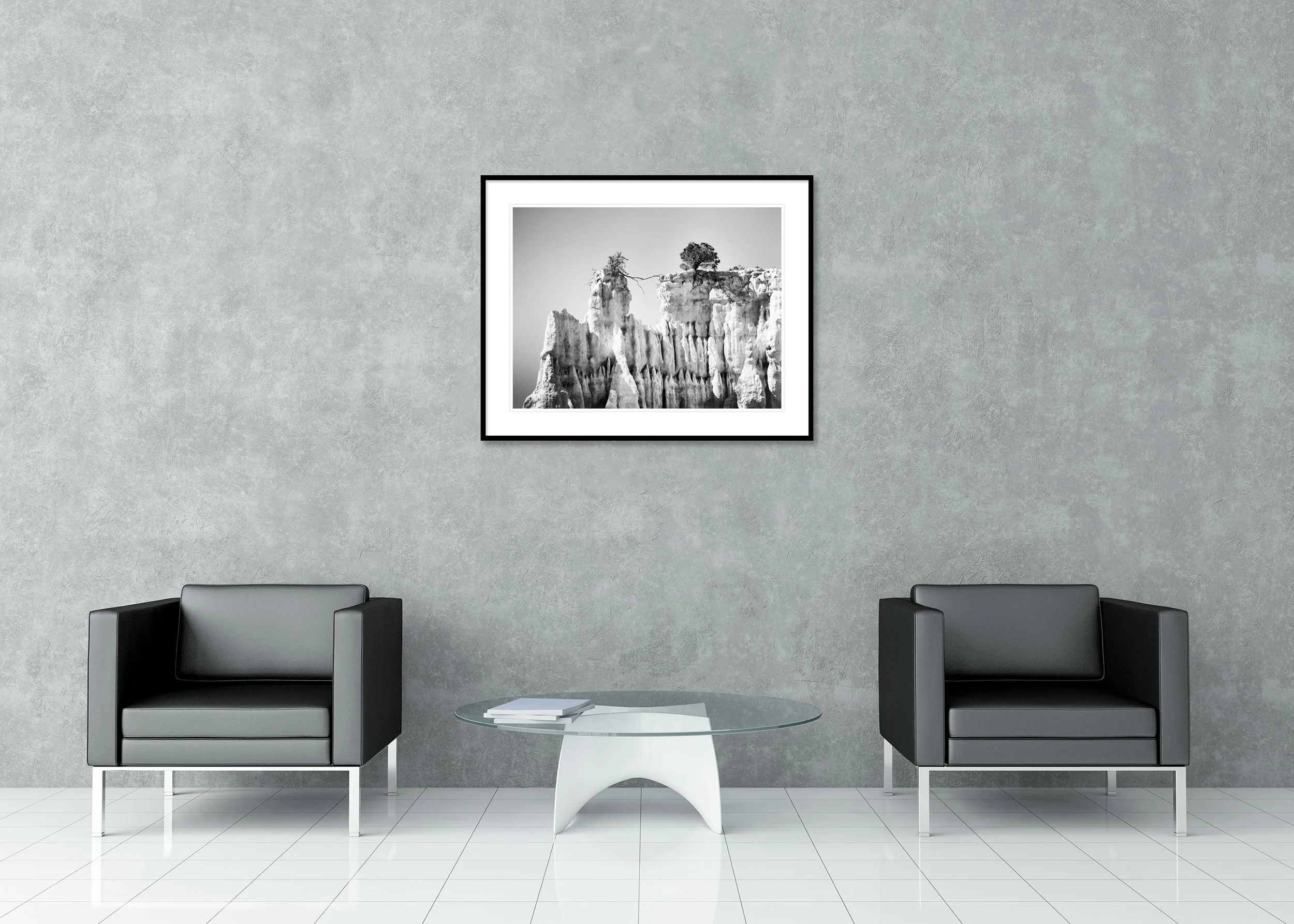 Monochrome abstract landscape photo of a rugged cliff edge featuring two windswept trees linked by a single branch, presented as an archival pigment print in a classic frame with passe-partout.