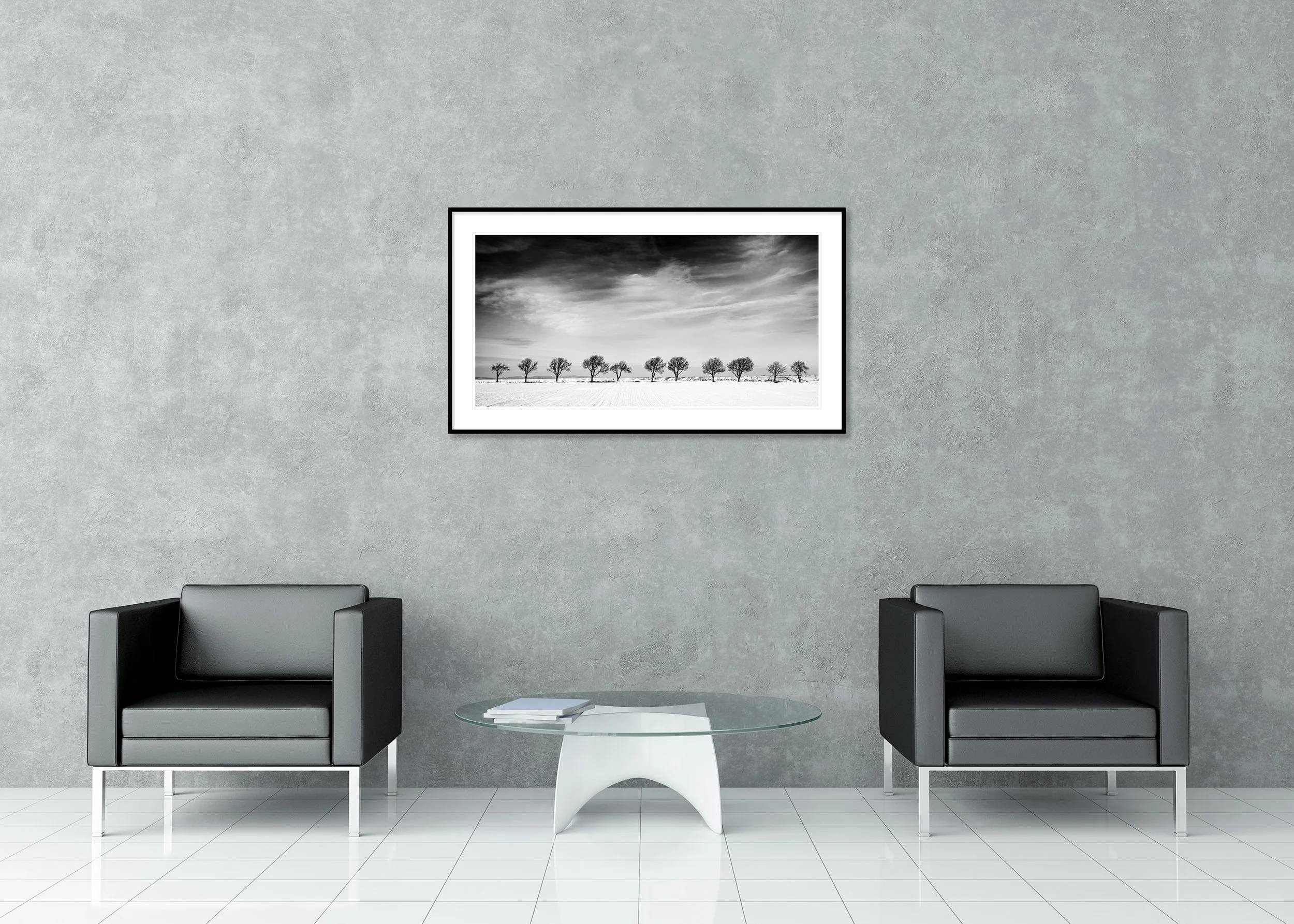Eleven Trees in a Snow Field – Austria shown as an archival pigment print in a classic aluminium frame with a white mount.
