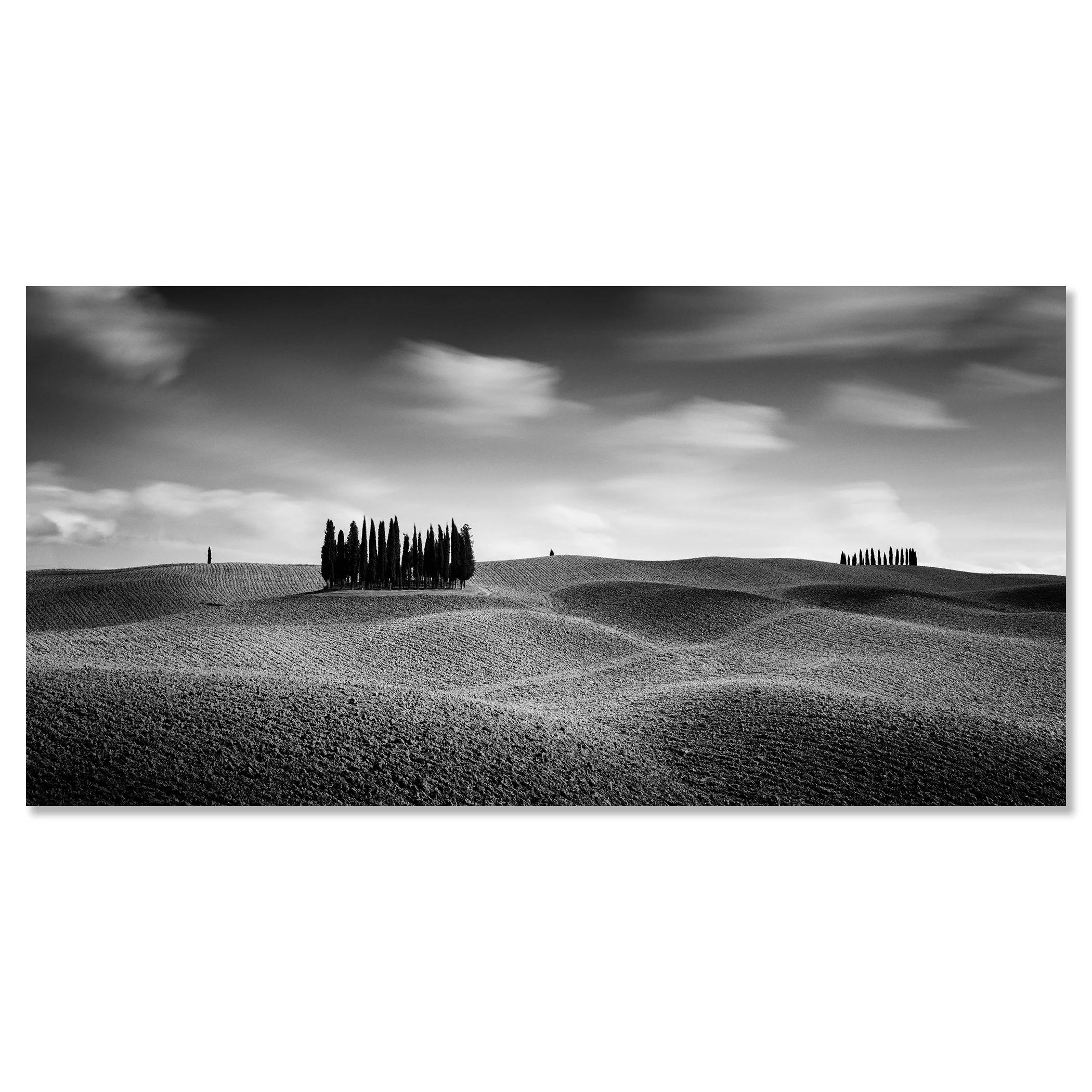 © 2020 Gerald Berghammer - Black and white Tuscan landscape photography. Rolling hills with two clusters of tall, thin trees in the distance, under a cloudy sky. Chromaluxe frameless