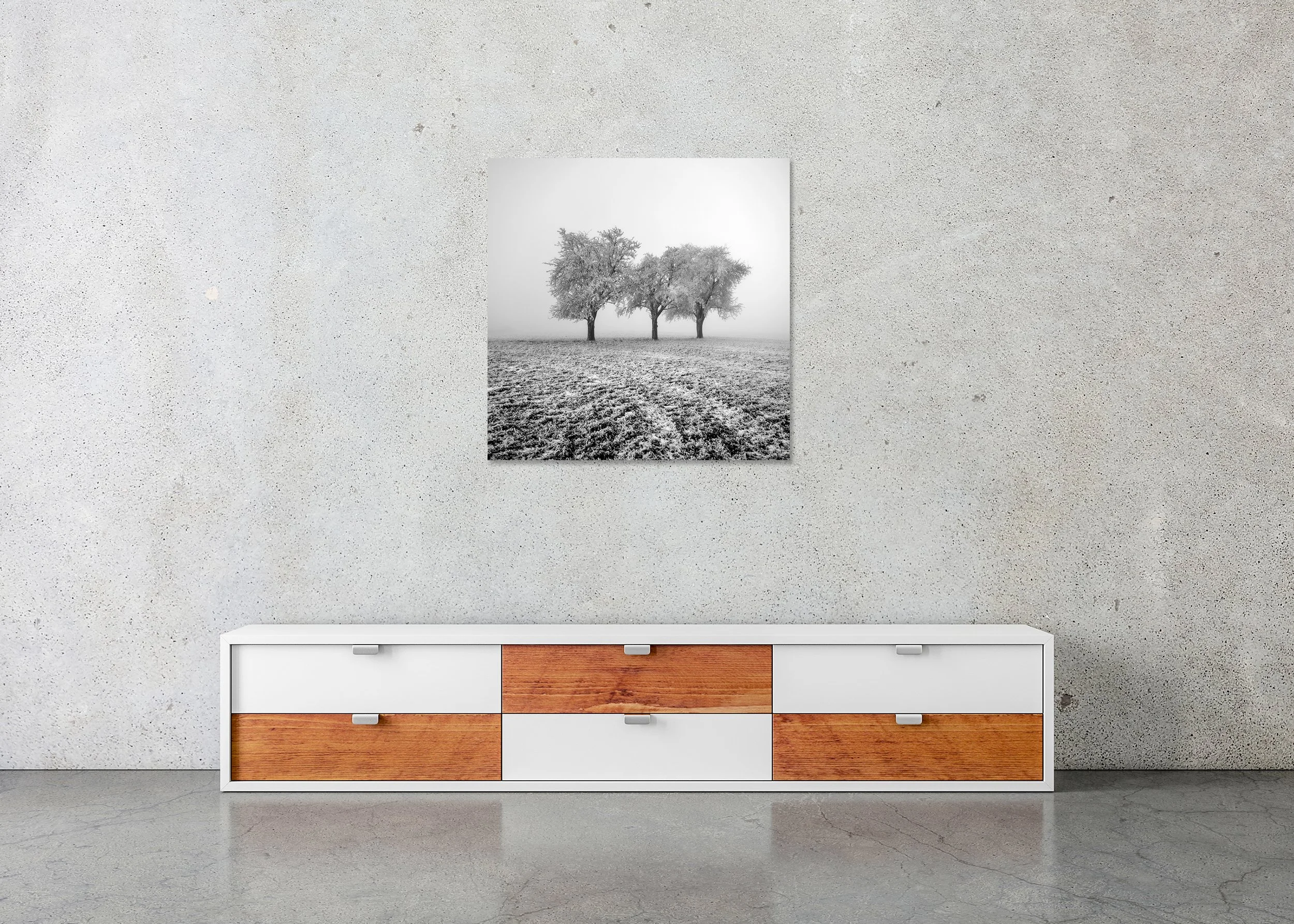 Frozen Apple Trees Study 1 – Austria, frameless black-and-white photo print mounted on aluminium Dibond